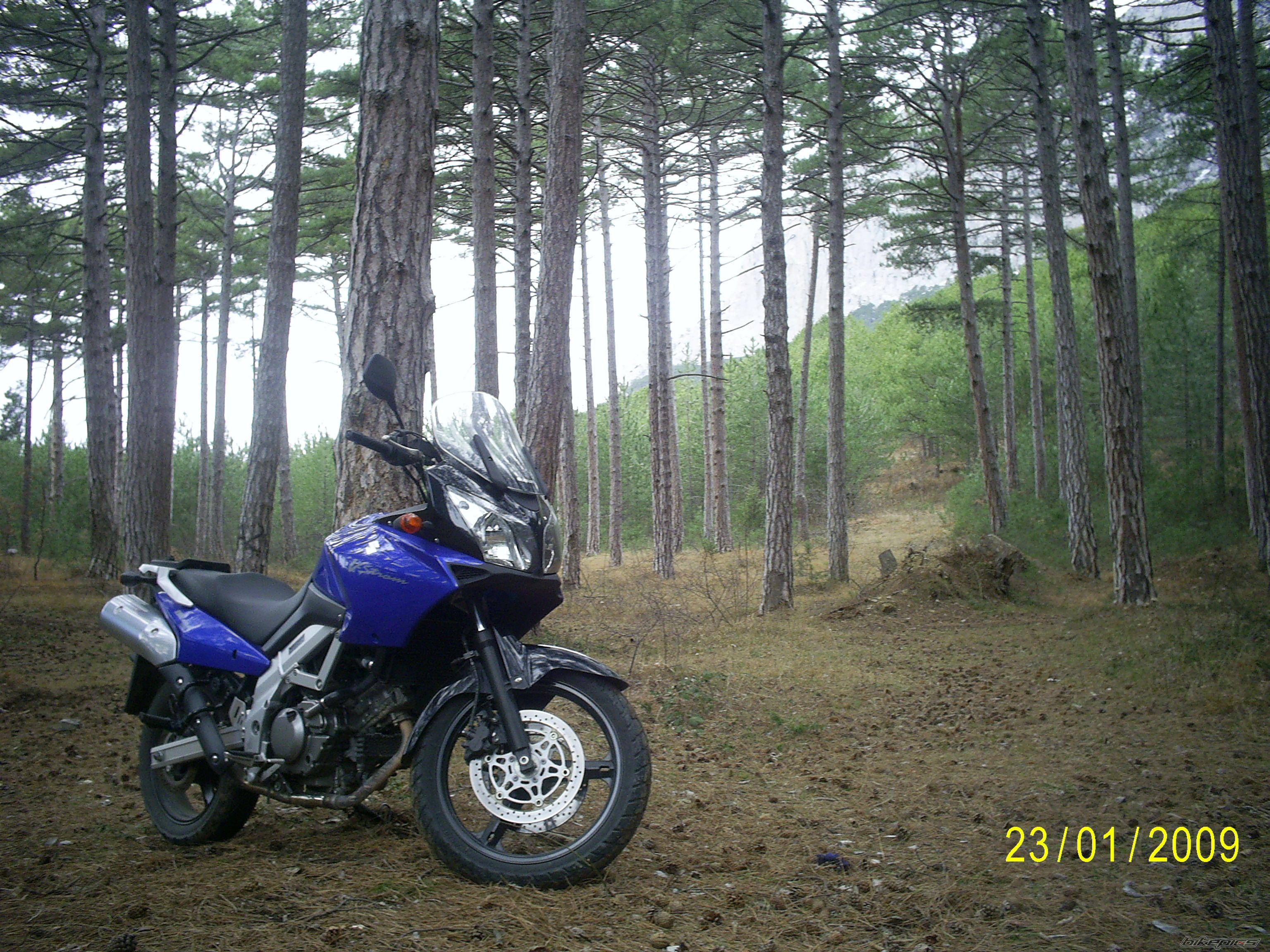 2004 SUZUKI DL 650 | Picture 1569098 motorcycle photo