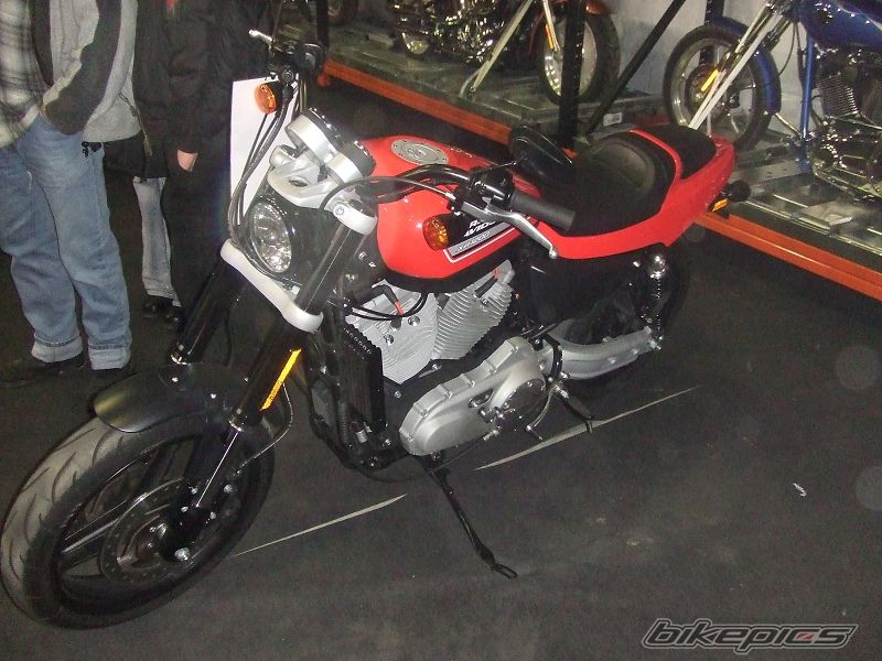    | Picture 1569238 motorcycle photo
