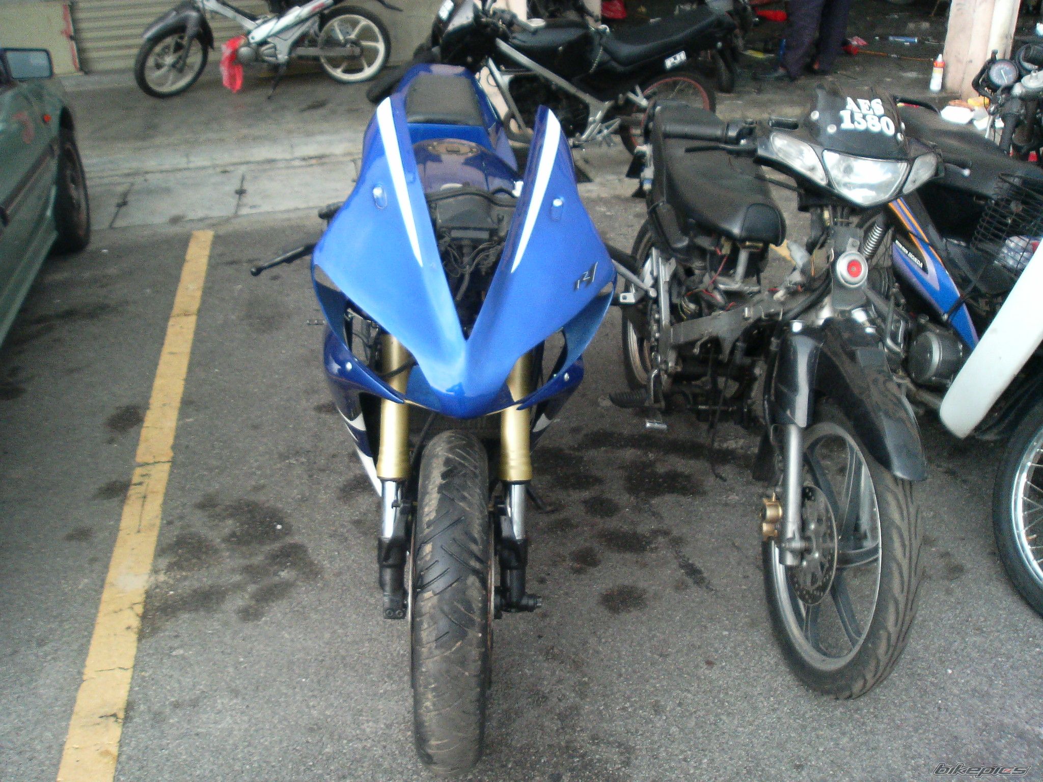 2009 YAMAHA TZM 150 | Picture 1569342 motorcycle photo