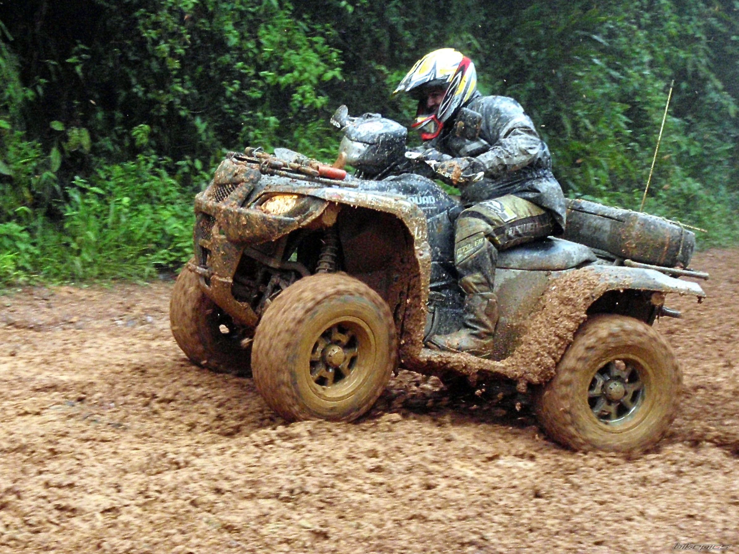 2007 SUZUKI KING QUAD | Picture 1569680 motorcycle photo