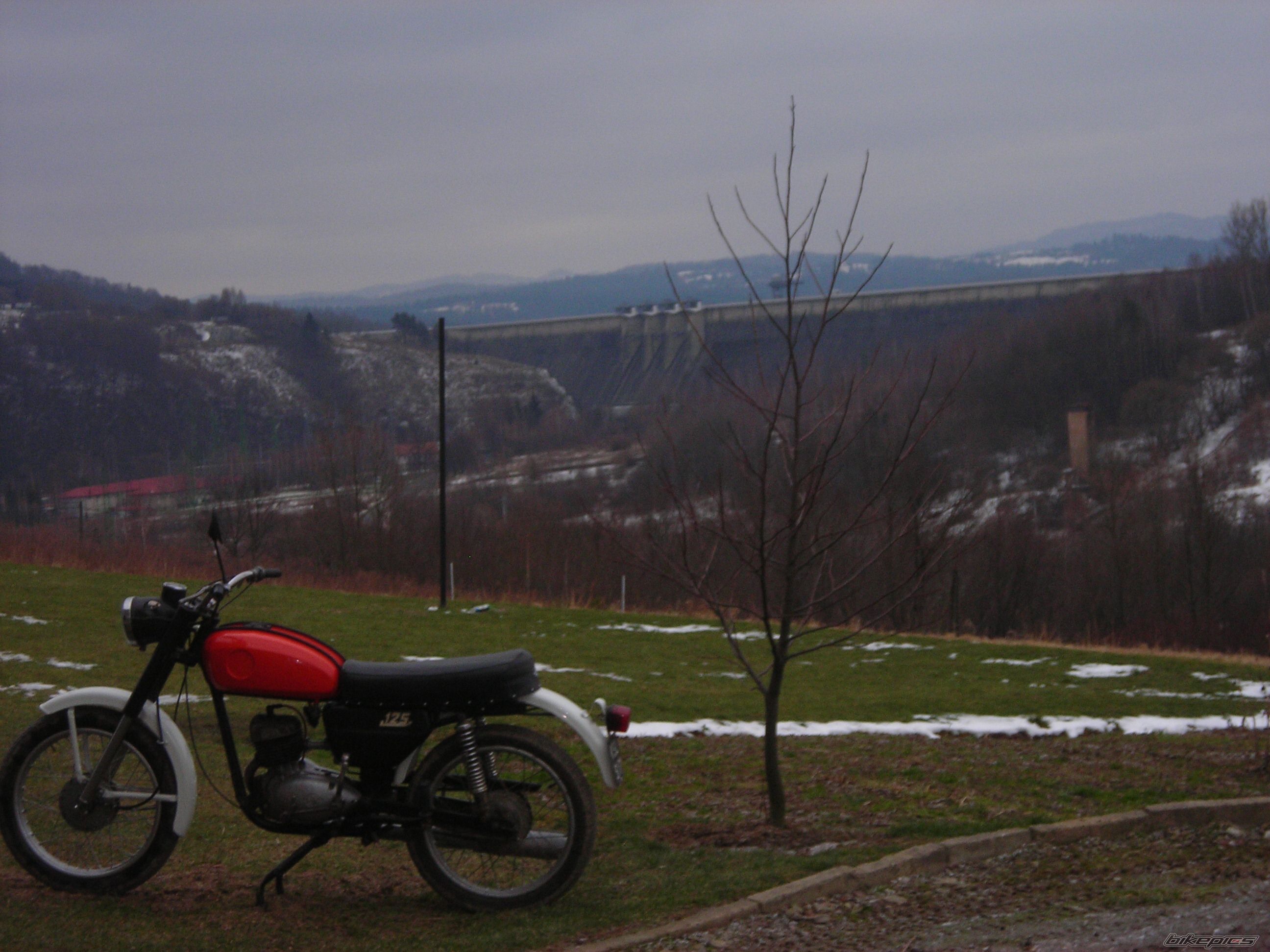 1972 WSK 125 | Picture 1569940 motorcycle photo