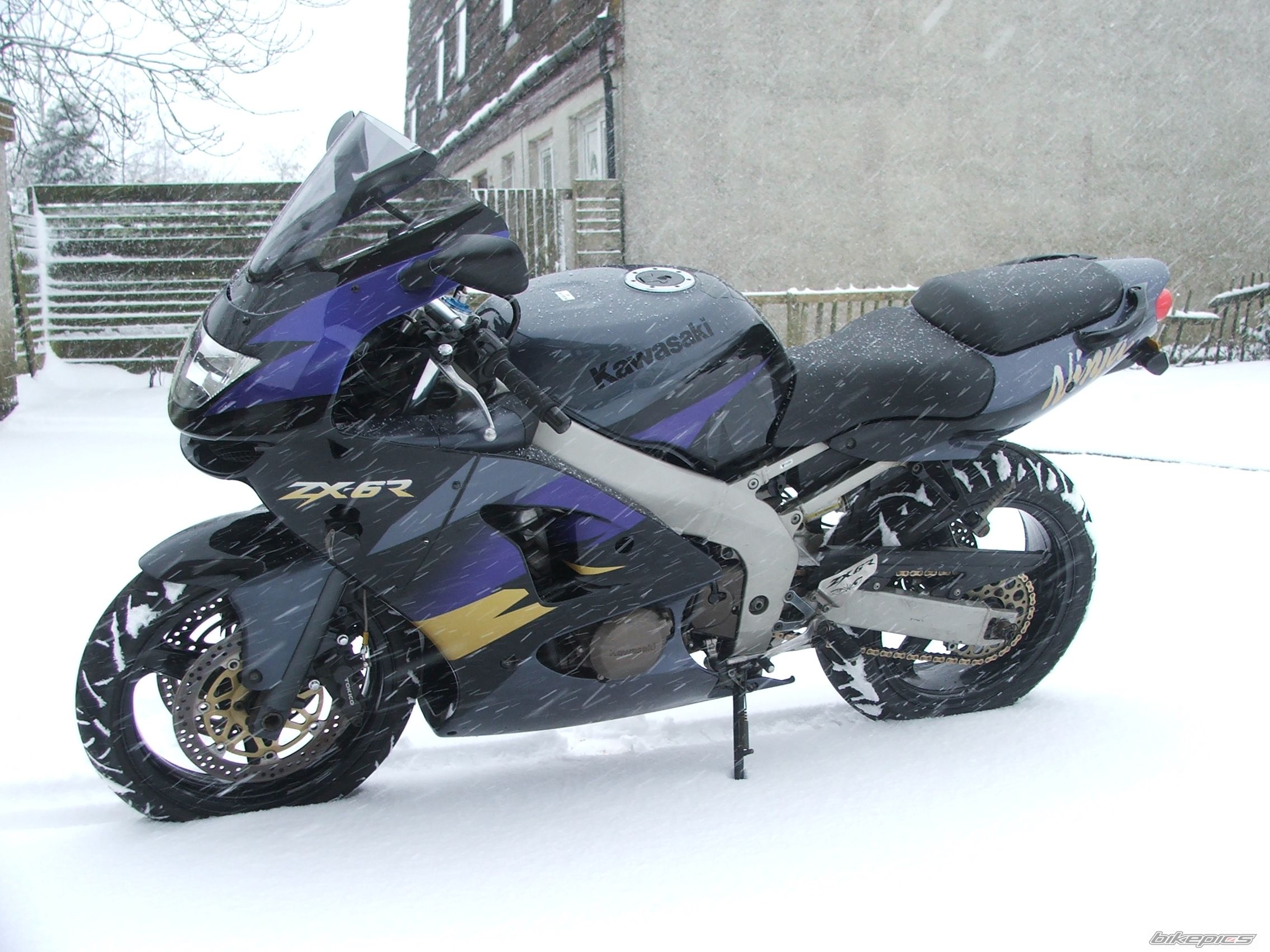 1998 KAWASAKI ZX 6R | Picture 1570056 motorcycle photo