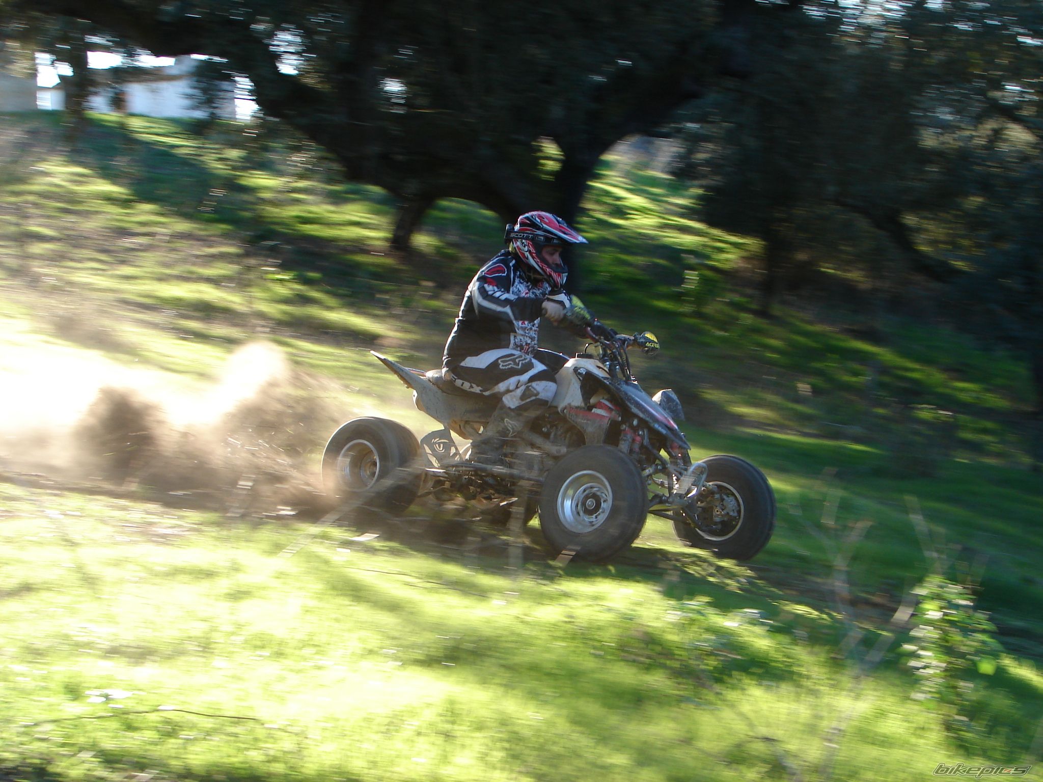 2008 SUZUKI LTR 450 | Picture 1570064 motorcycle photo