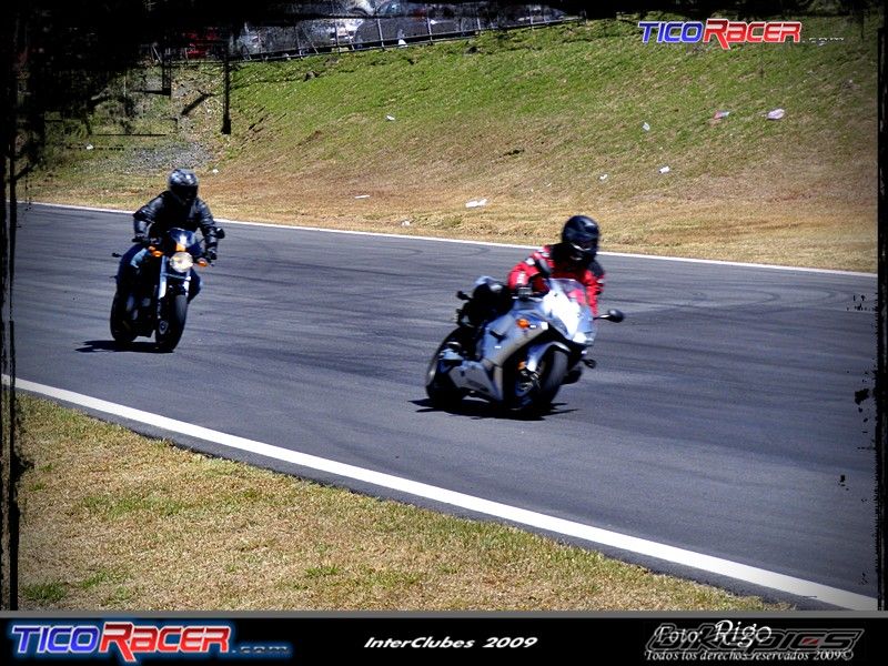 2006 HONDA CBR 600 RR | Picture 1570323 motorcycle photo