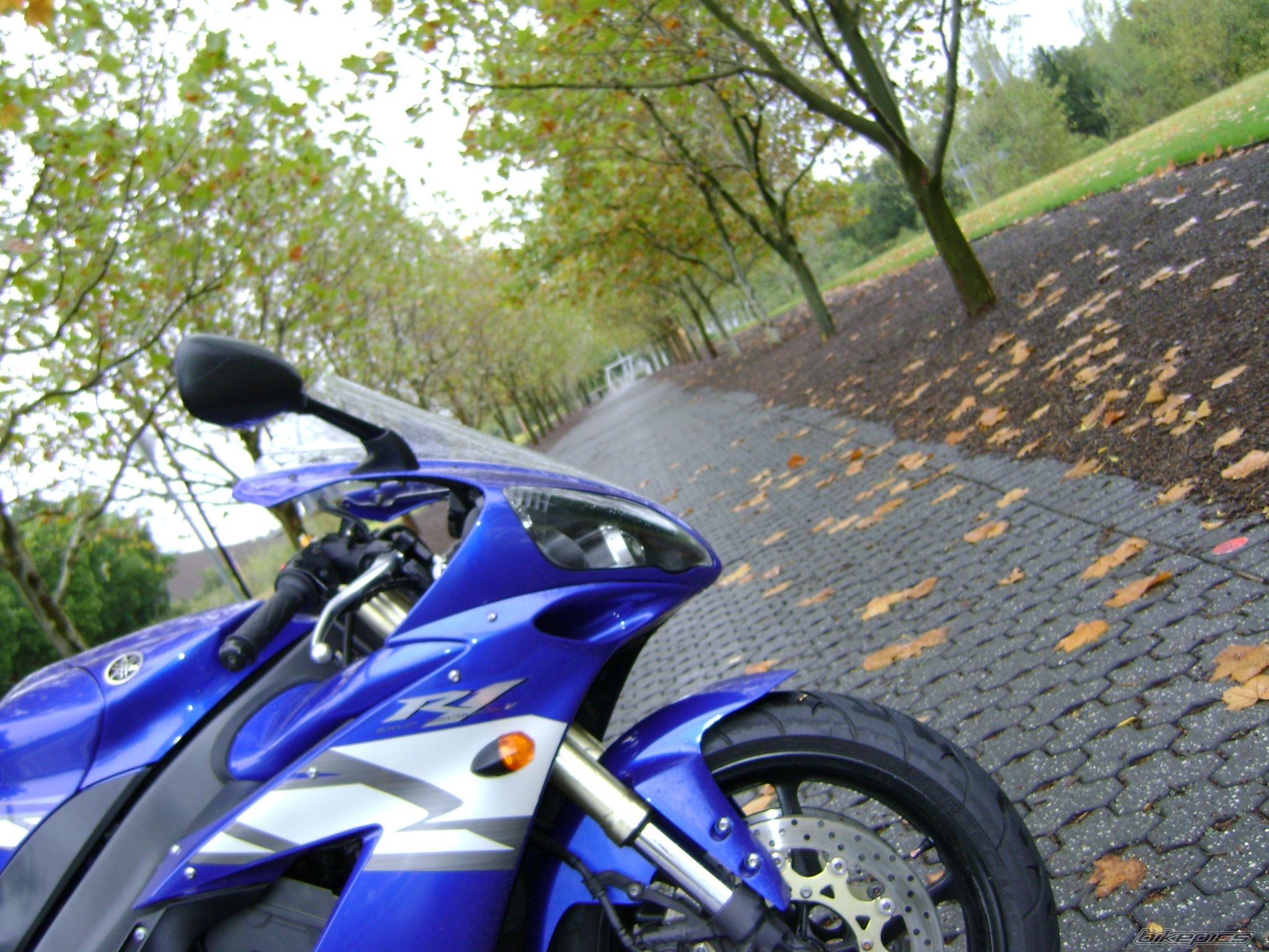 2004 YAMAHA YZF R1 | Picture 1570592 motorcycle photo