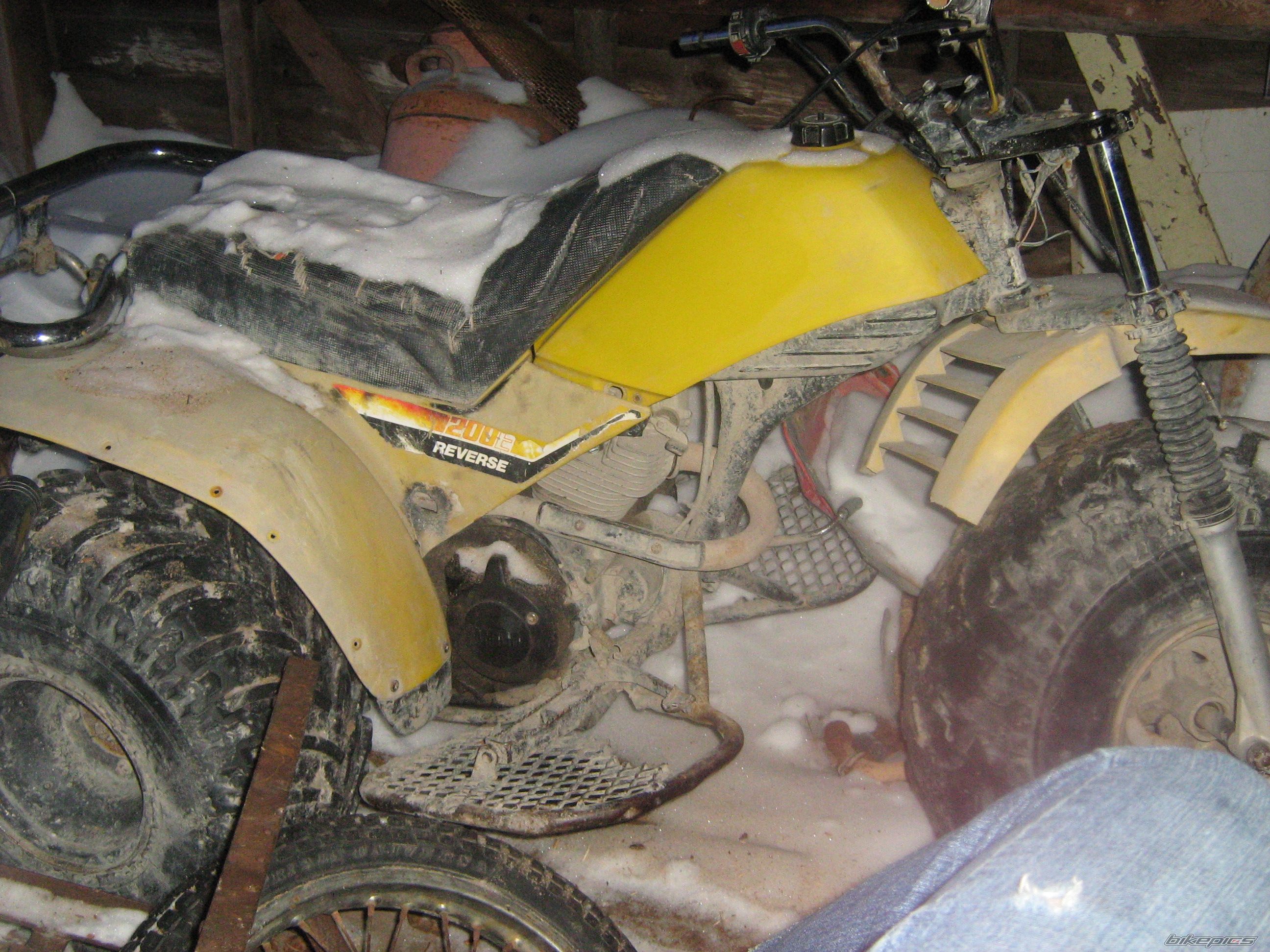 1984 YAMAHA YTM 200 | Picture 1570648 motorcycle photo
