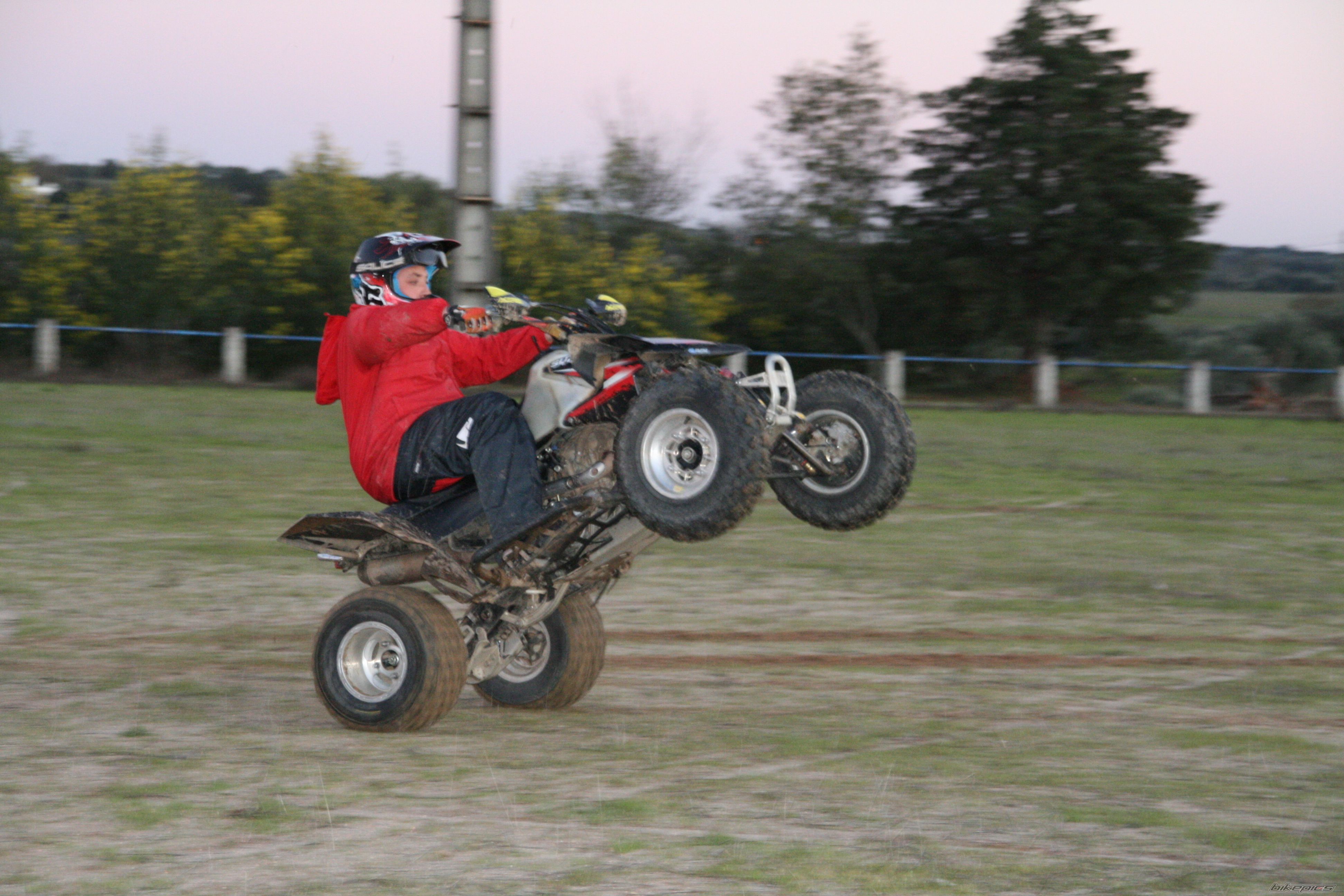 2008 SUZUKI LTR 450 | Picture 1570722 motorcycle photo
