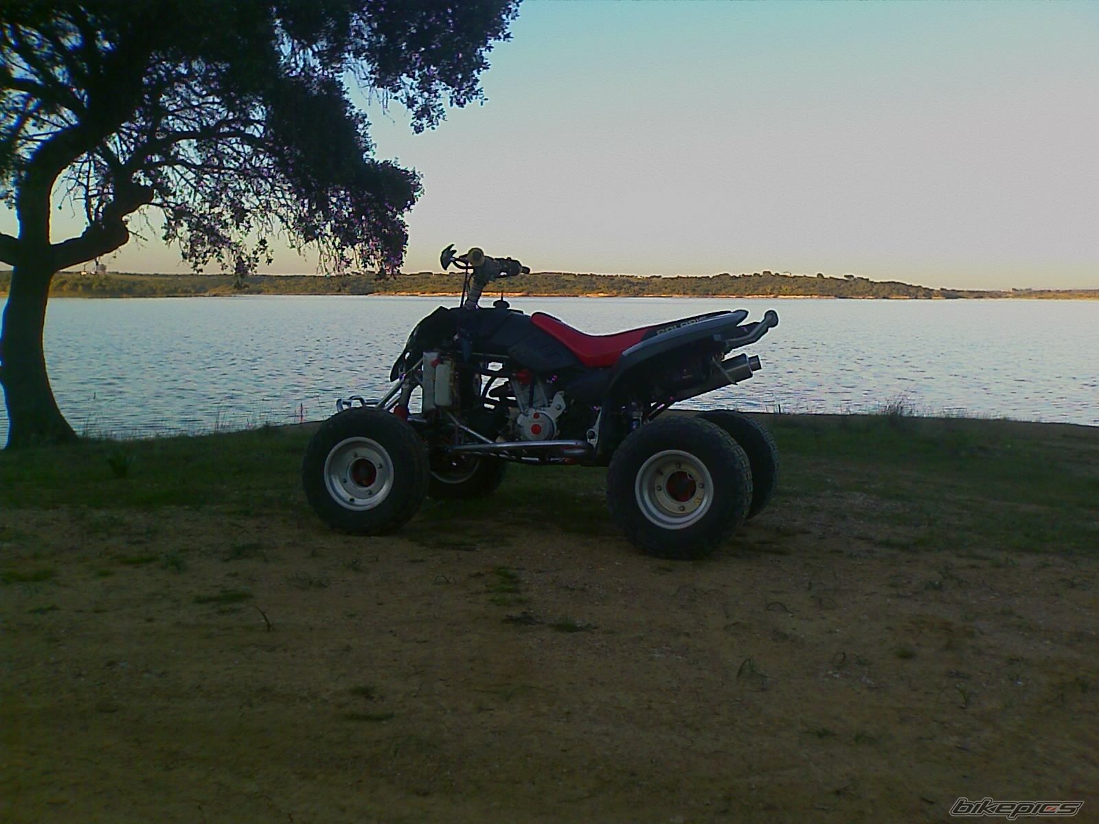 2003 POLARIS PREDATOR 500 | Picture 1570870 motorcycle photo