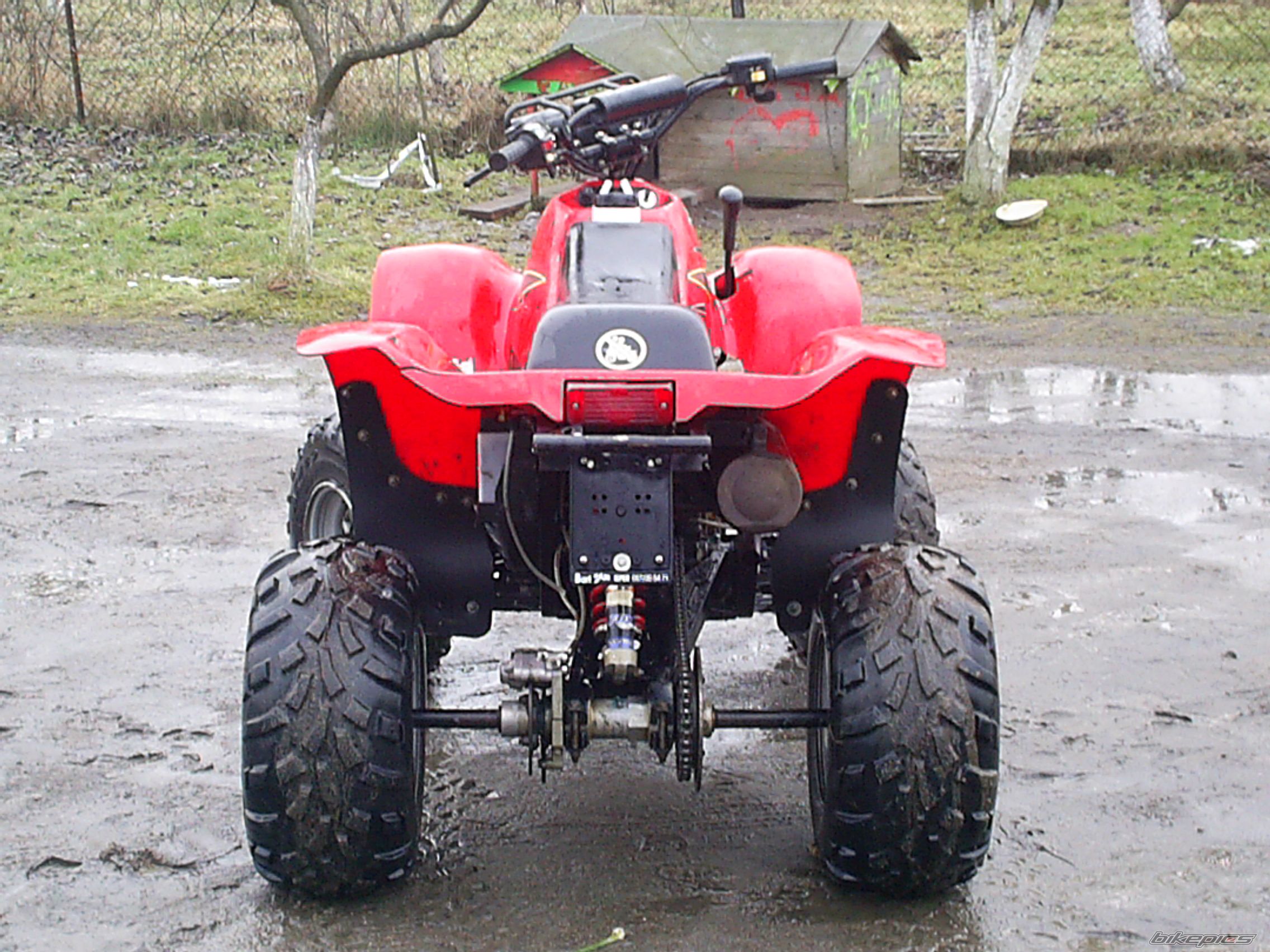 2002 POLARIS SCRAMBLER 500 | Picture 1571157 motorcycle photo