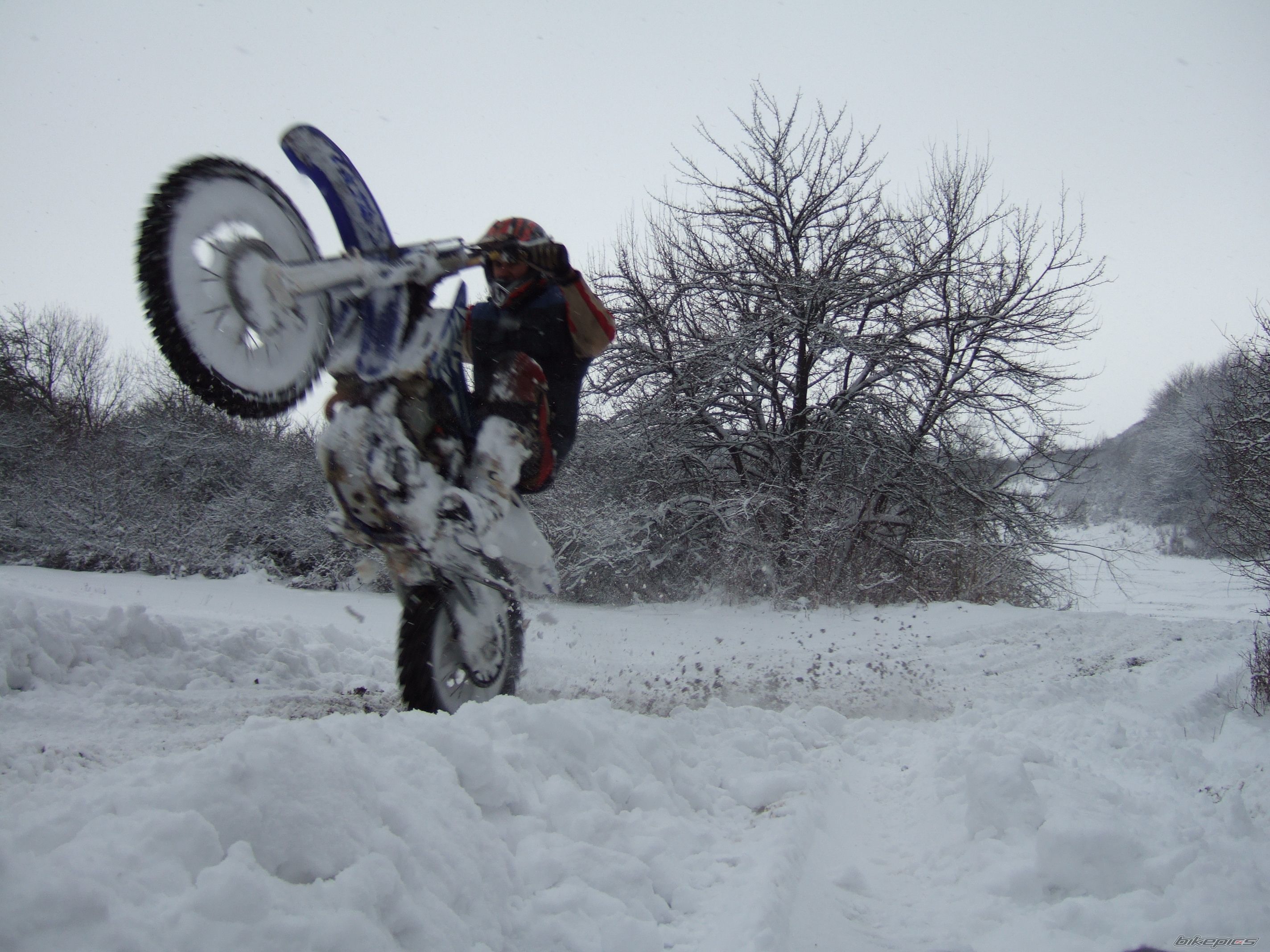 2002 YAMAHA YZ 426F | Picture 1571487 motorcycle photo
