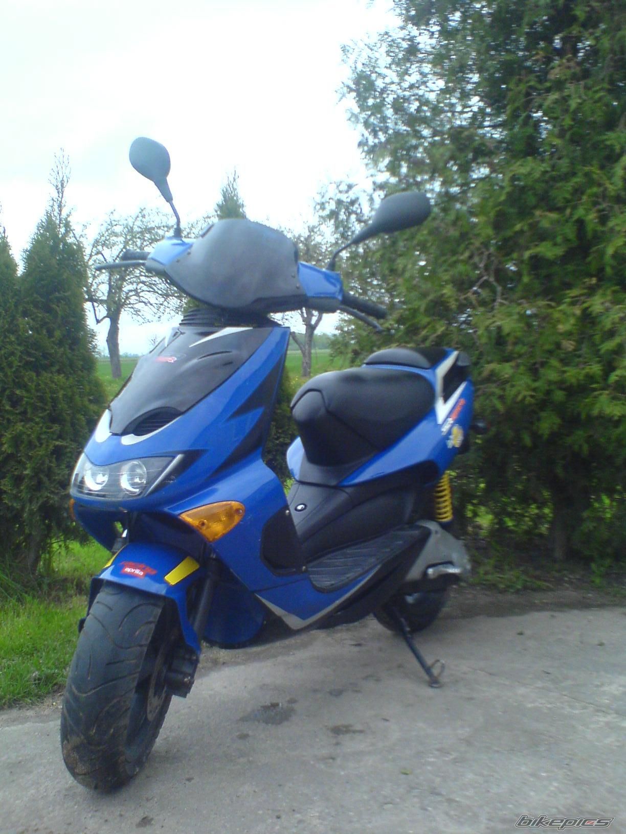 2000 APRILIA SR RACING 50 | Picture 1571835 motorcycle photo