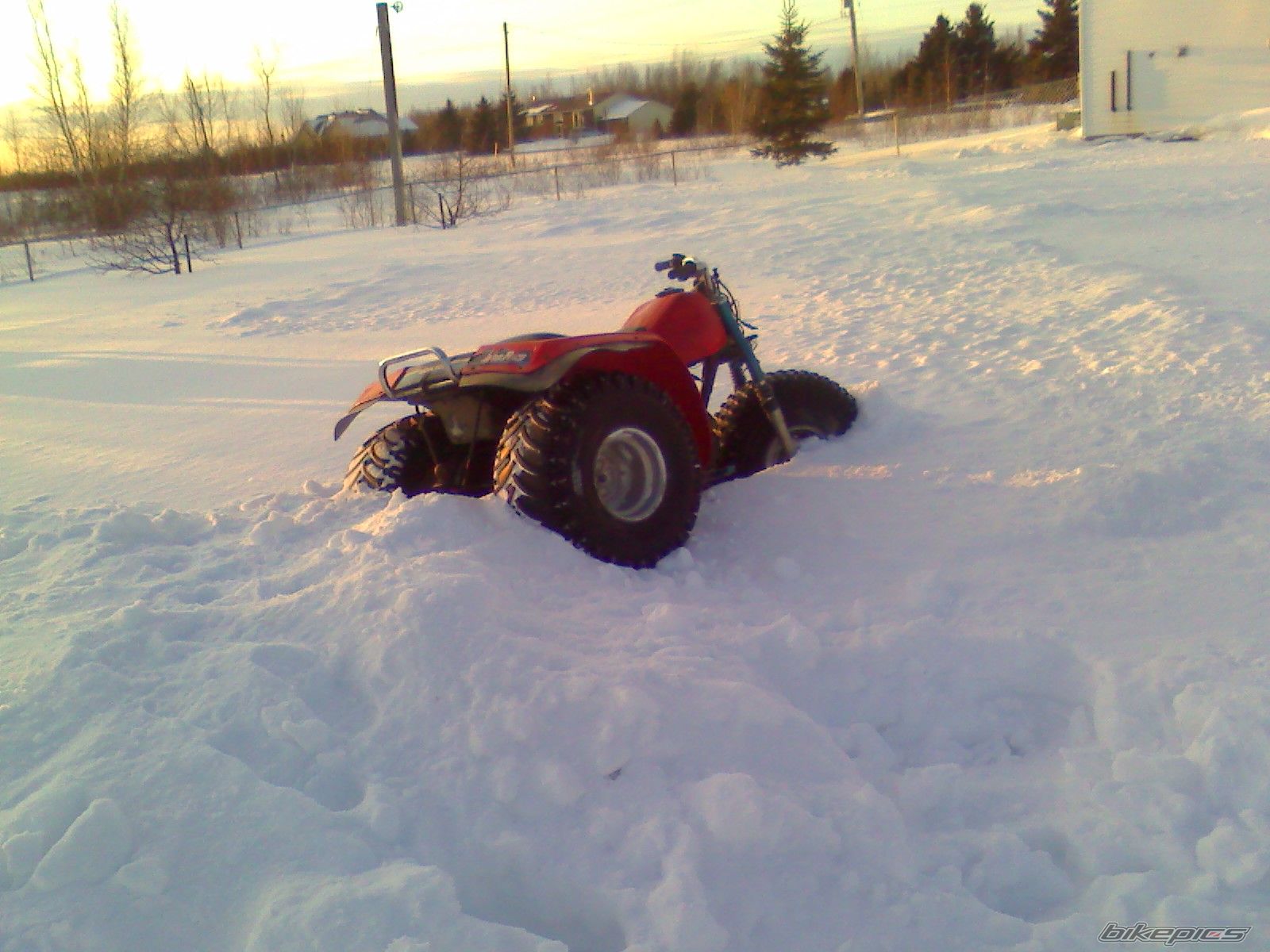 1984 HONDA ATC 200 | Picture 1572006 motorcycle photo