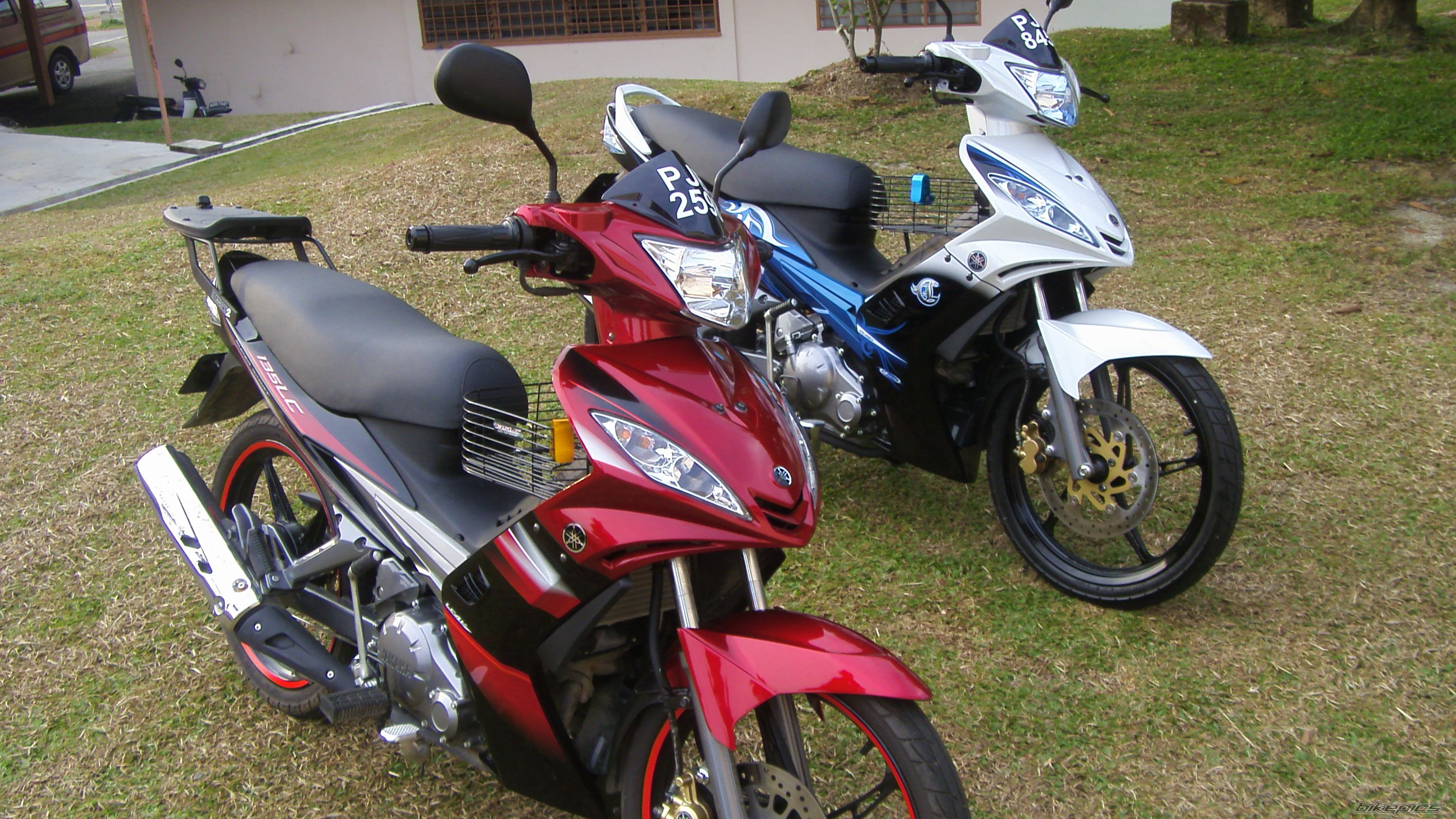 2009 YAMAHA 135 LC | Picture 1572024 motorcycle photo