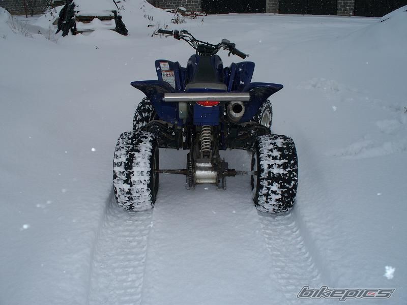2003 YAMAHA RAPTOR YFM 660 | Picture 1572862 motorcycle photo