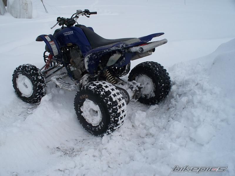 2003 YAMAHA RAPTOR YFM 660 | Picture 1572868 motorcycle photo