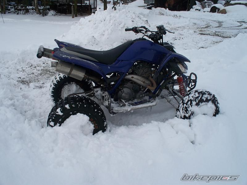 2003 YAMAHA RAPTOR YFM 660 | Picture 1572869 motorcycle photo