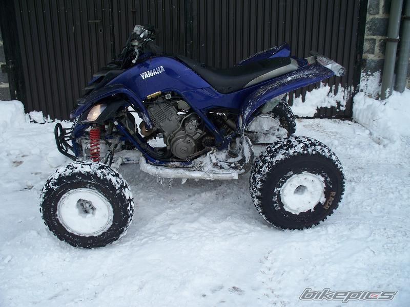 2003 YAMAHA RAPTOR YFM 660 | Picture 1572870 motorcycle photo
