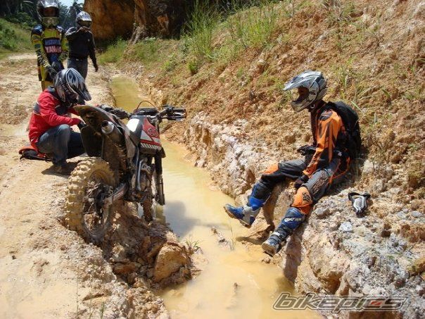    | Picture 1573302 motorcycle photo