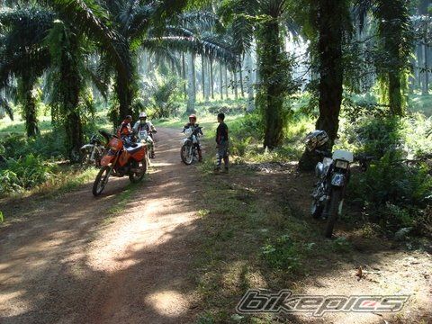    | Picture 1573304 motorcycle photo