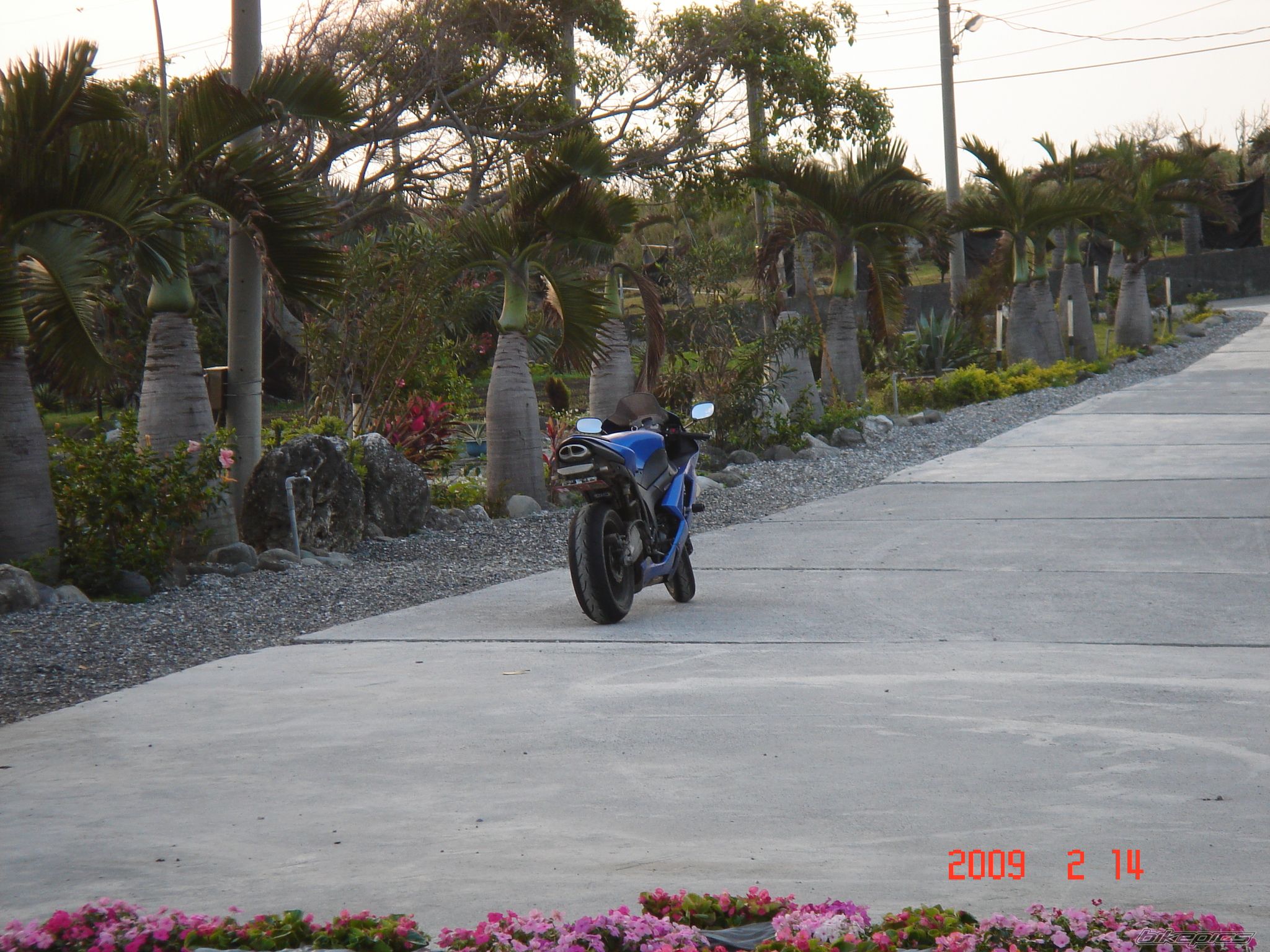 2008 KAWASAKI ZX 6R | Picture 1573358 motorcycle photo