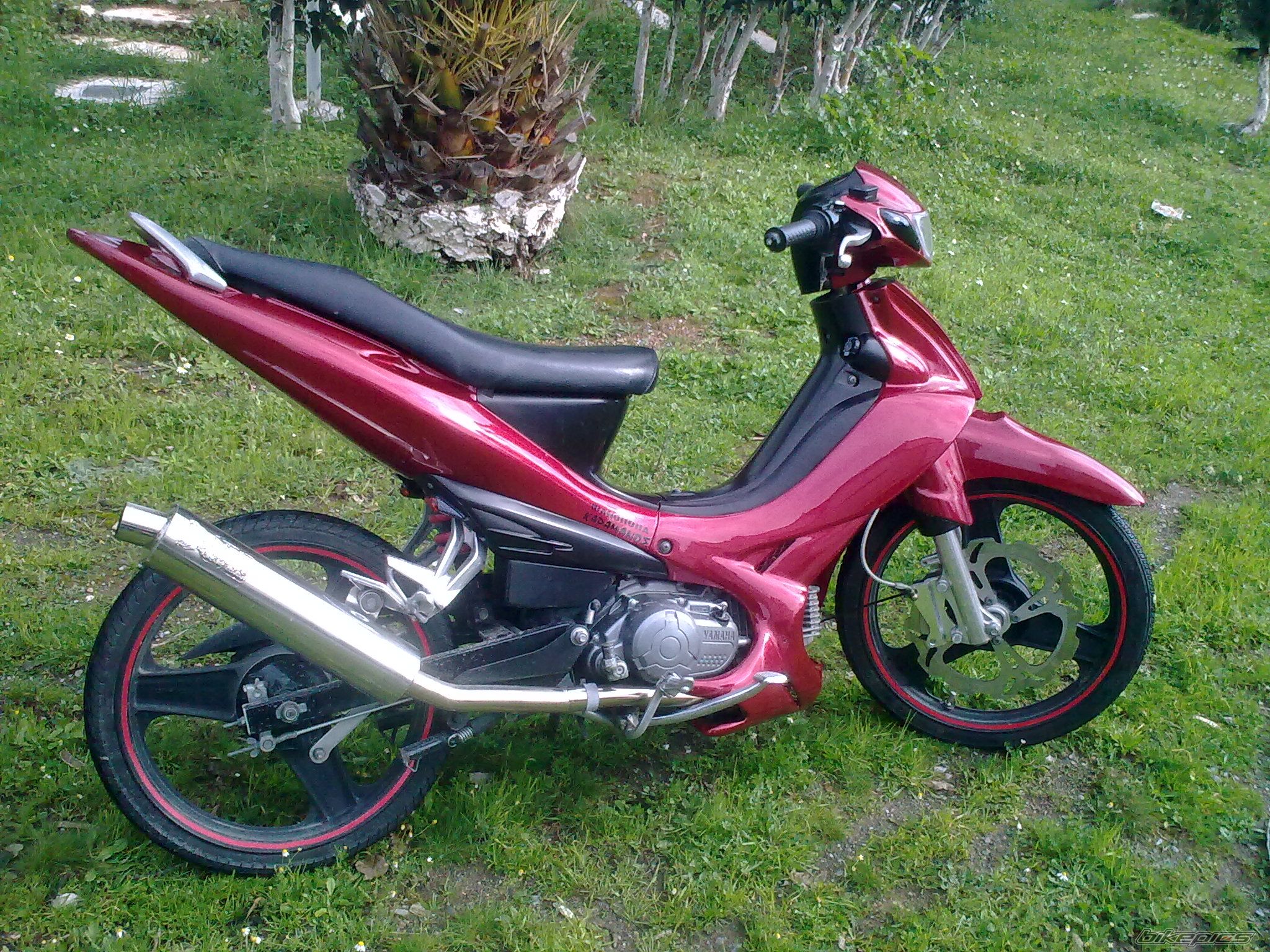 2009 YAMAHA CRYPTON R 115 | Picture 1574162 motorcycle photo