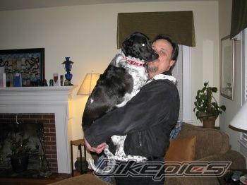    | Picture 1574739 motorcycle photo