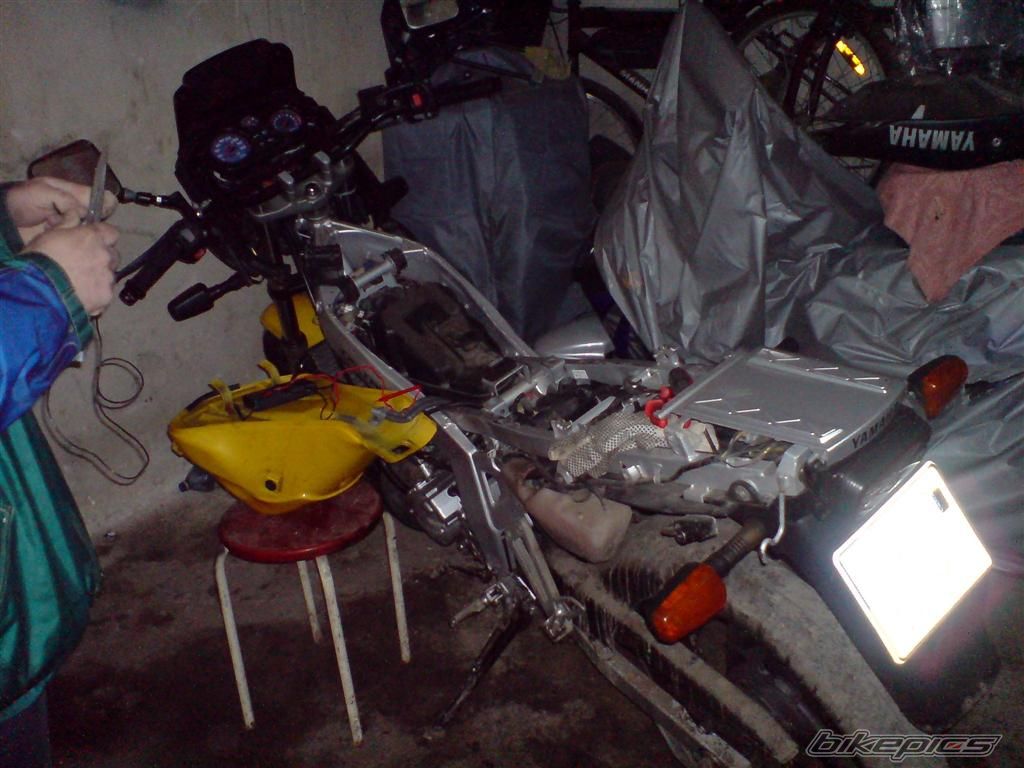 1998 YAMAHA TDR 125 | Picture 1575303 motorcycle photo