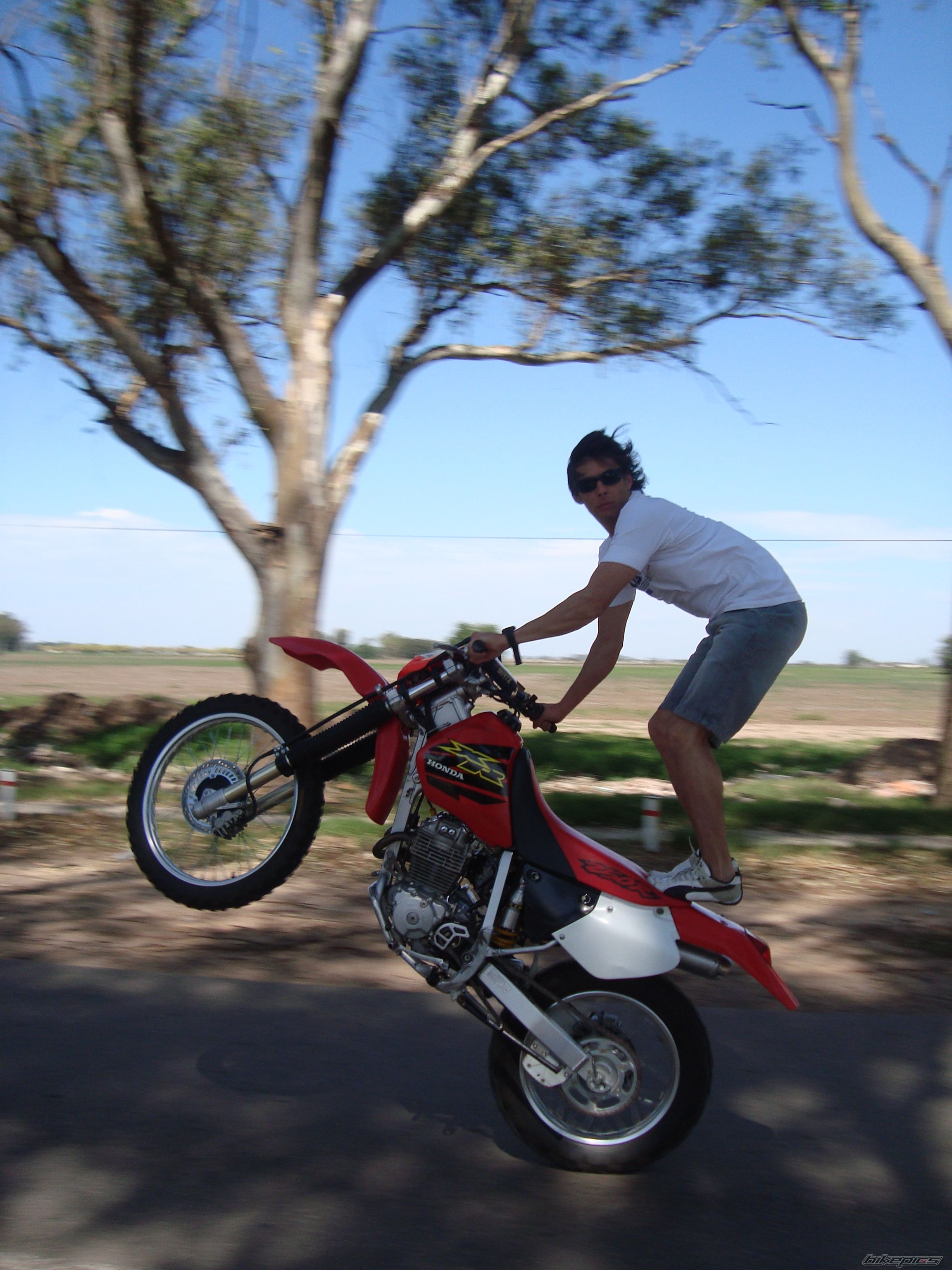 2000 HONDA XR 250 | Picture 1575916 motorcycle photo