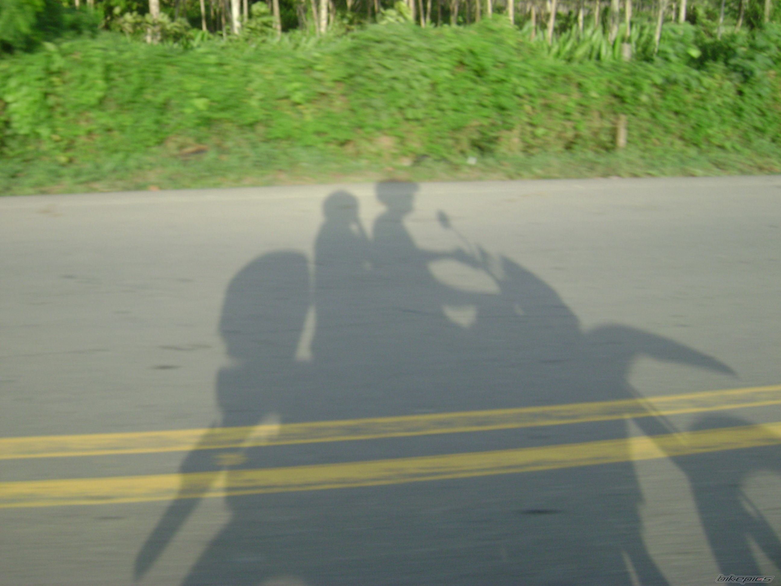 2008 HONDA XR 250 | Picture 1576280 motorcycle photo