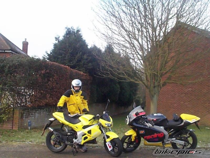 2001 APRILIA RS 50 | Picture 1576399 motorcycle photo