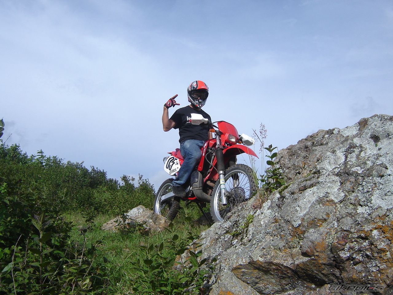 1993 HONDA CRM 250 | Picture 1576474 motorcycle photo