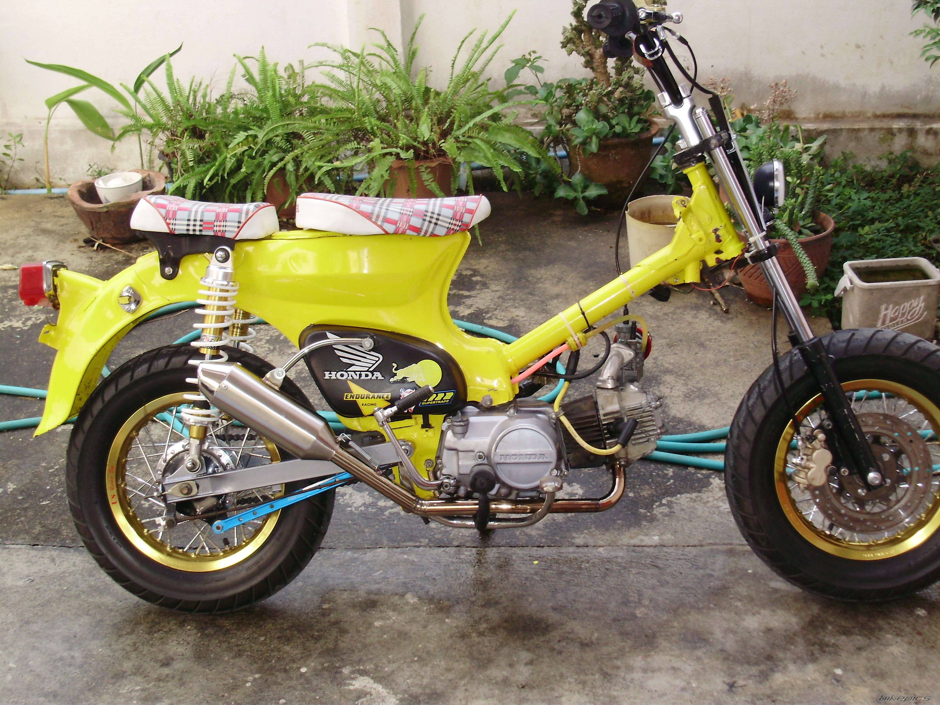 2009 HONDA C 70 | Picture 1576569 motorcycle photo