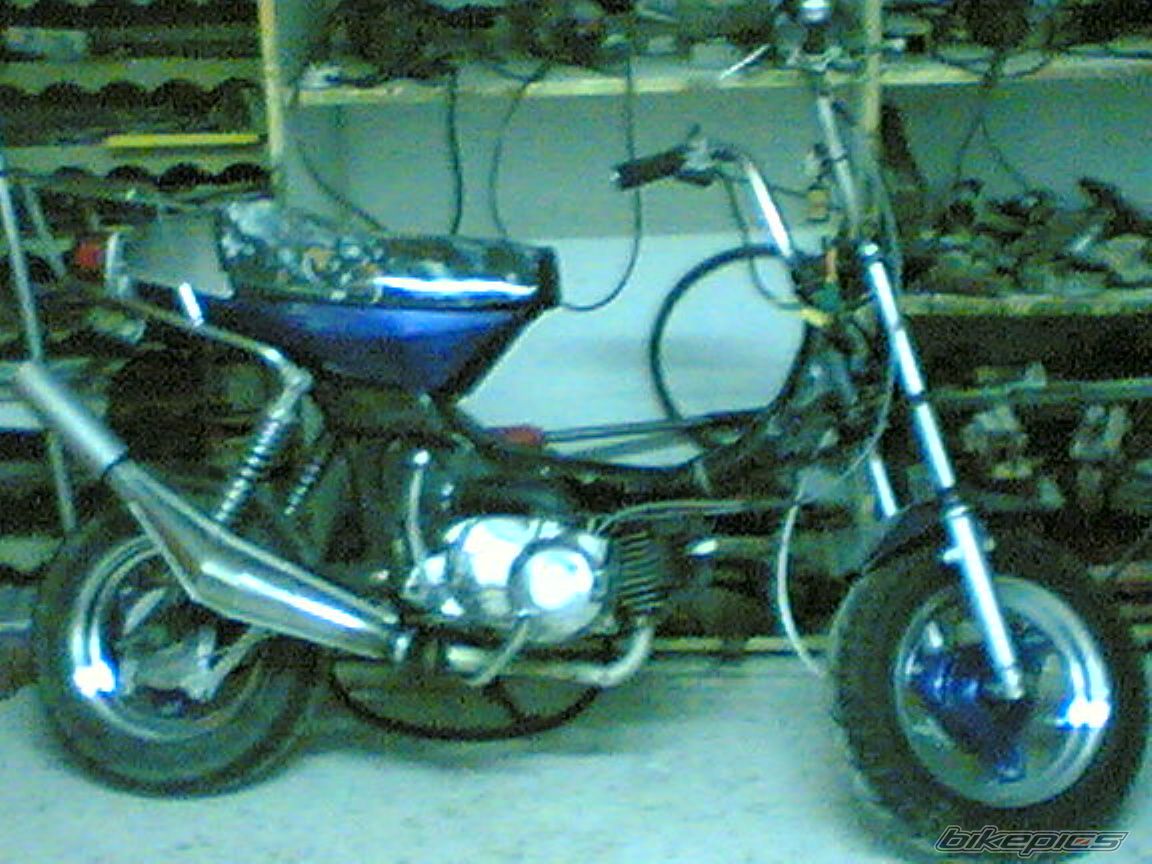 2009 HONDA CHALY | Picture 1576890 motorcycle photo