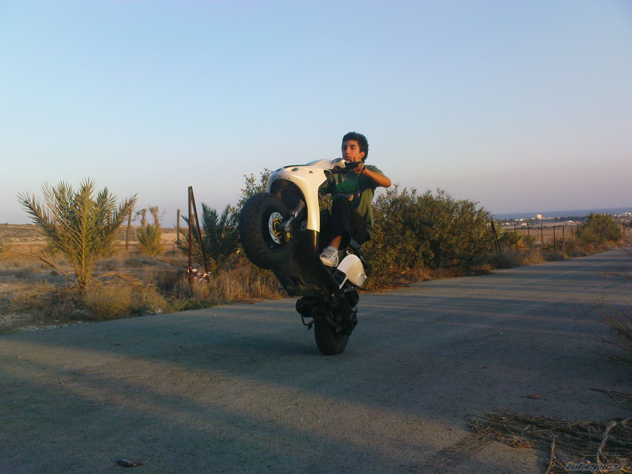 2009 HONDA CHALY | Picture 1576913 motorcycle photo