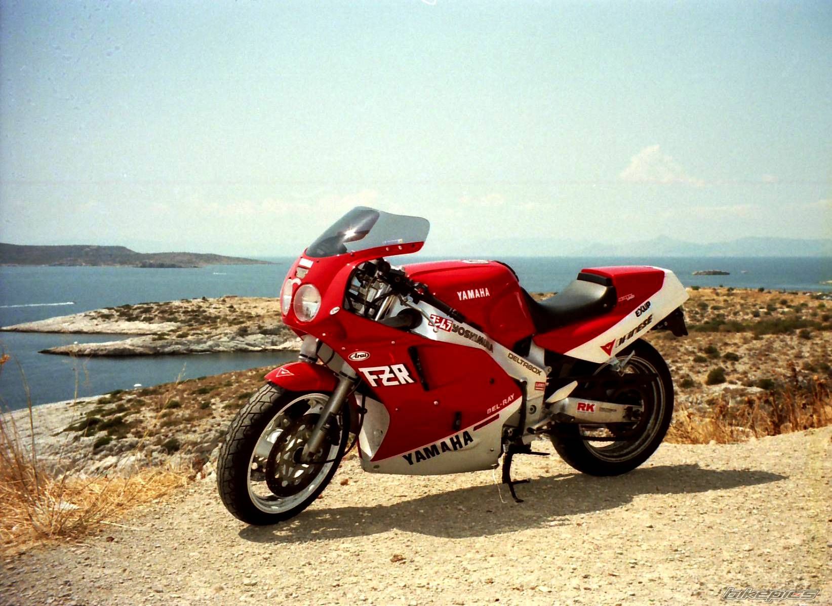 1989 YAMAHA FZR 1000 | Picture 1577270 motorcycle photo