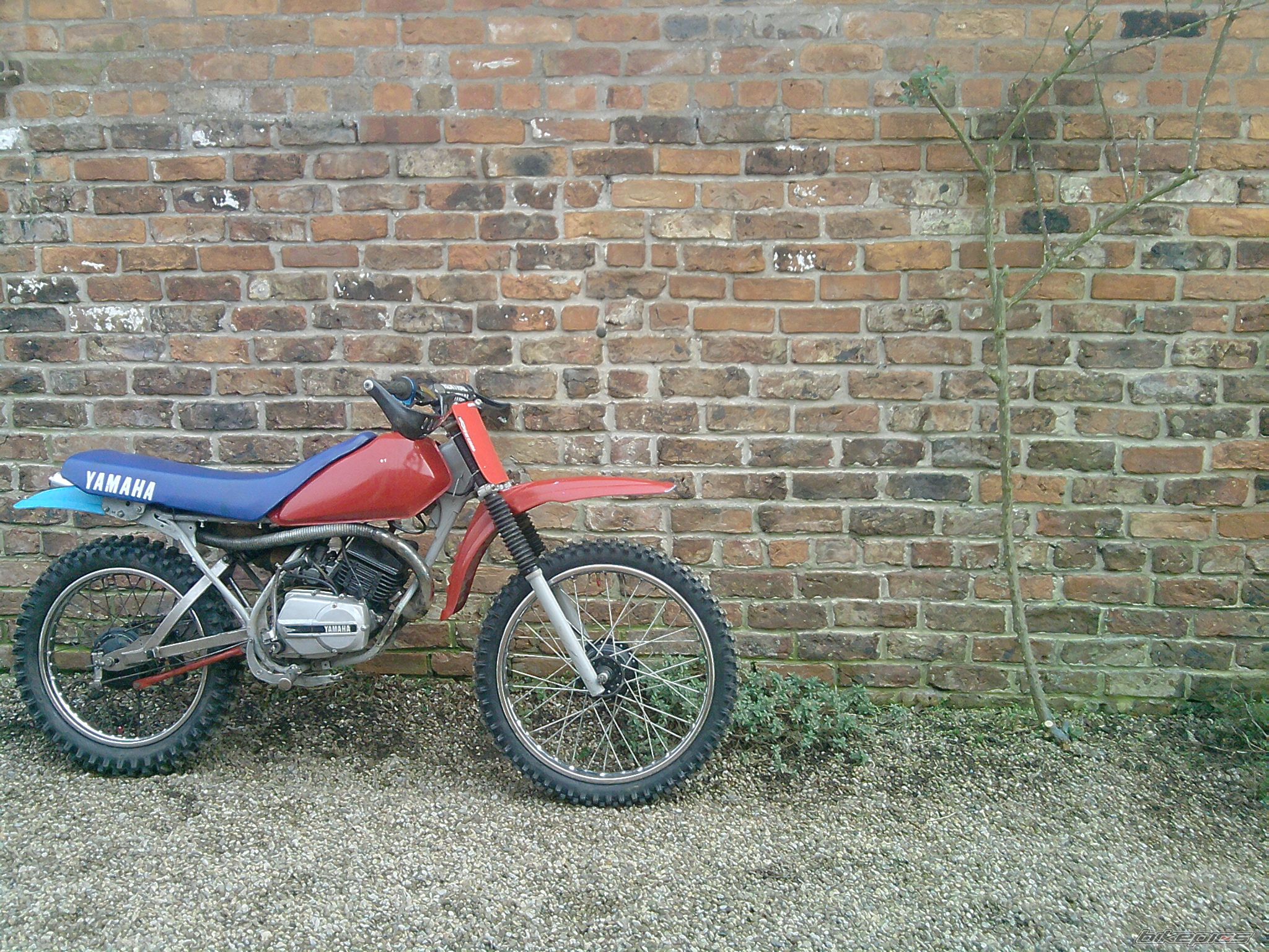 1981 YAMAHA DT 125 | Picture 1577629 motorcycle photo