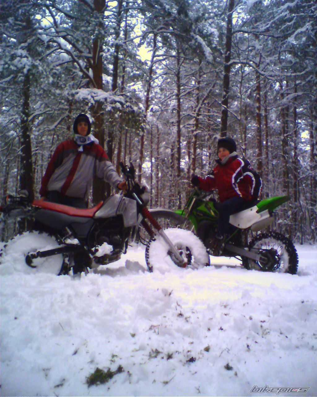    | Picture 1577761 motorcycle photo