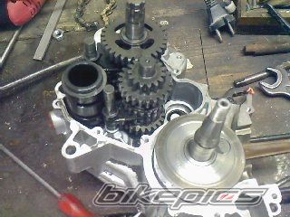 2002 DERBI SENDA X TREME R 50 | Picture 1577977 motorcycle photo