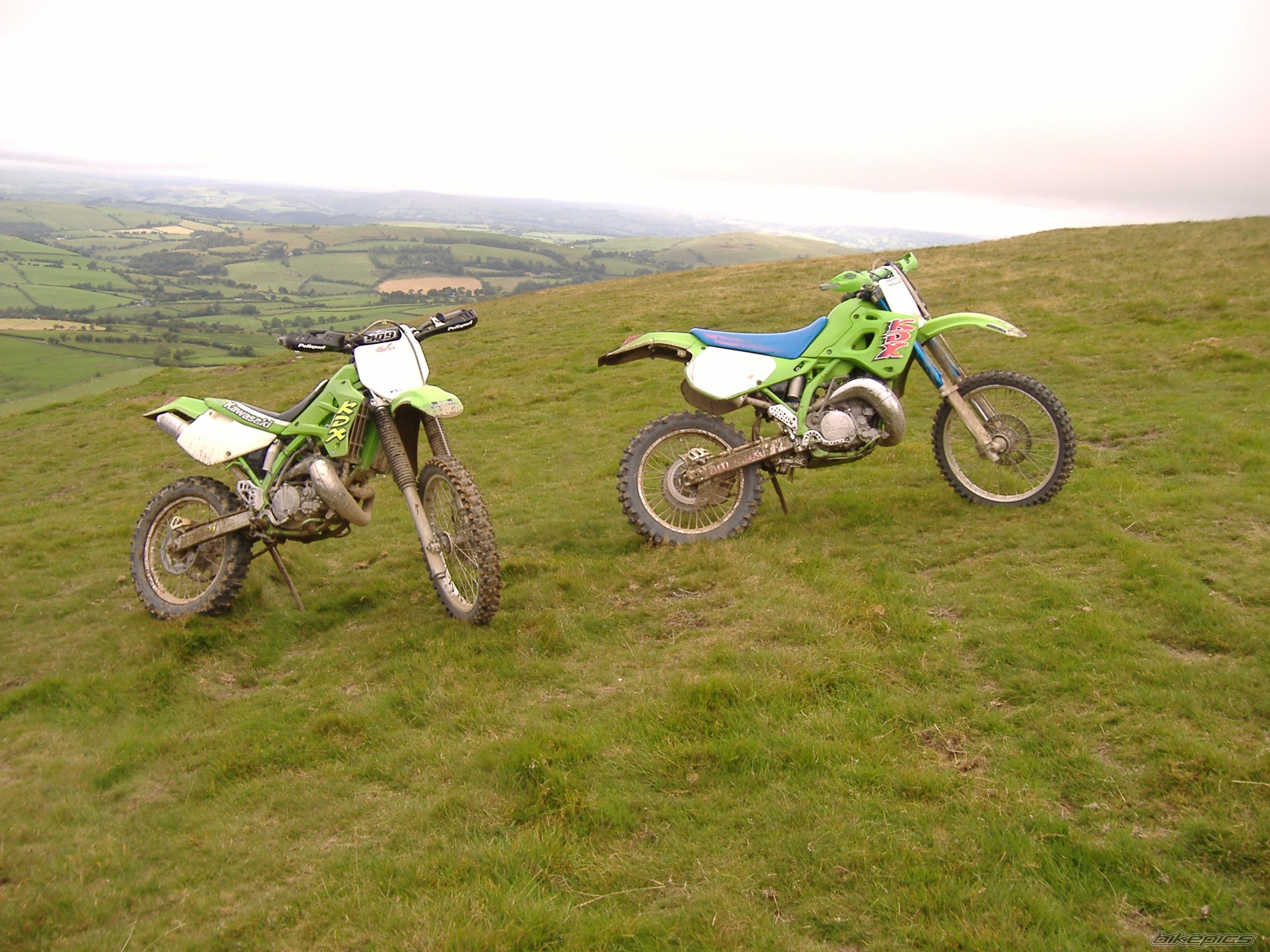 1991 KAWASAKI KDX 250 | Picture 1578243 motorcycle photo