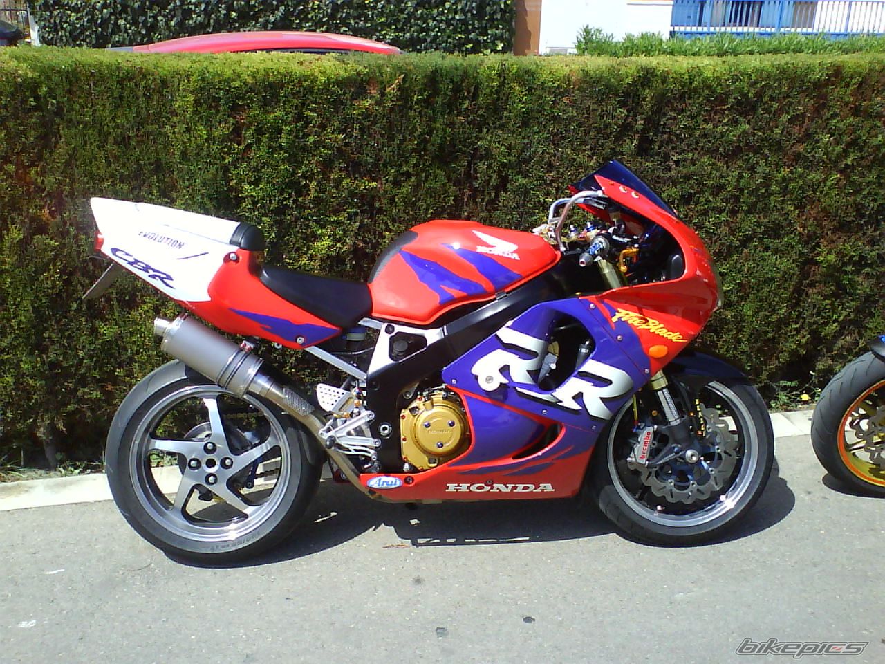 1998 HONDA CBR 900 | Picture 1579221 motorcycle photo