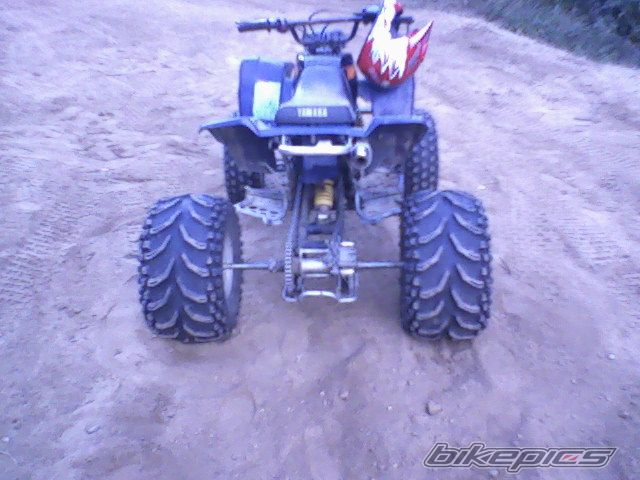 2002 HONDA 400EX | Picture 1579381 motorcycle photo
