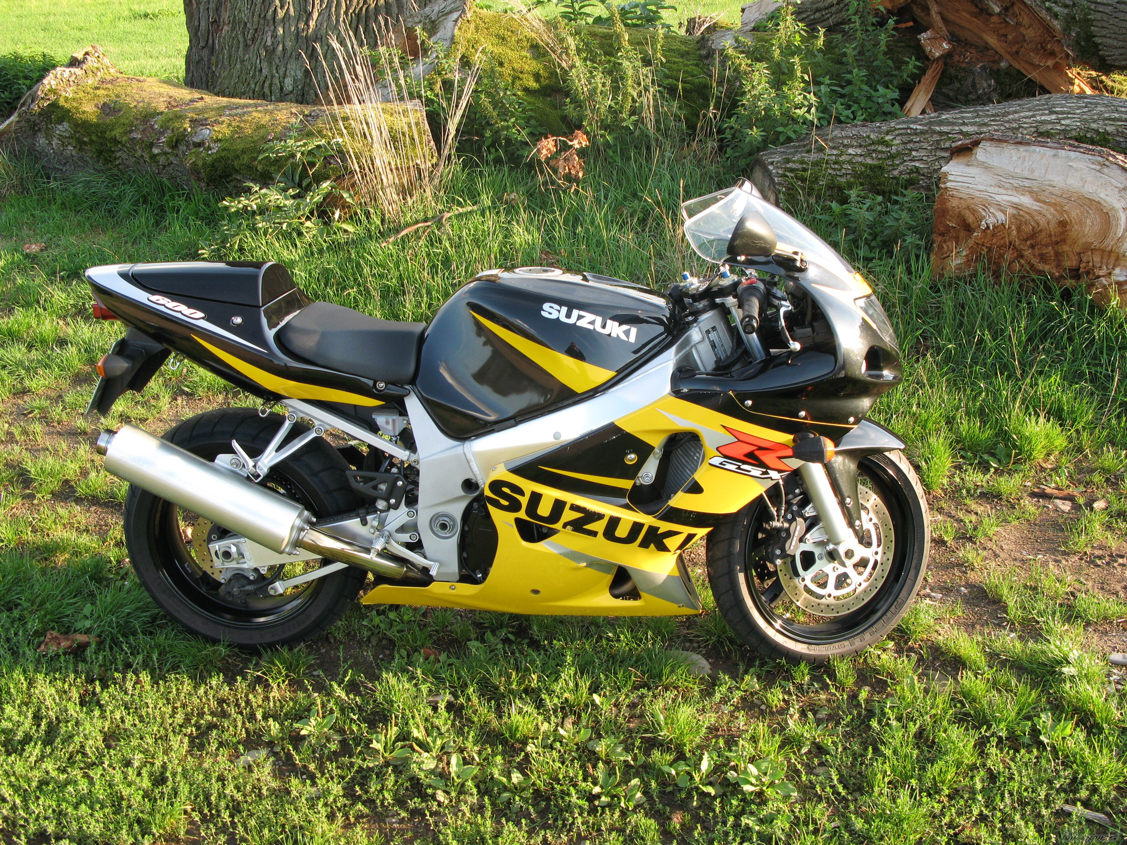 2002 SUZUKI GSX R 600 | Picture 1579520 motorcycle photo