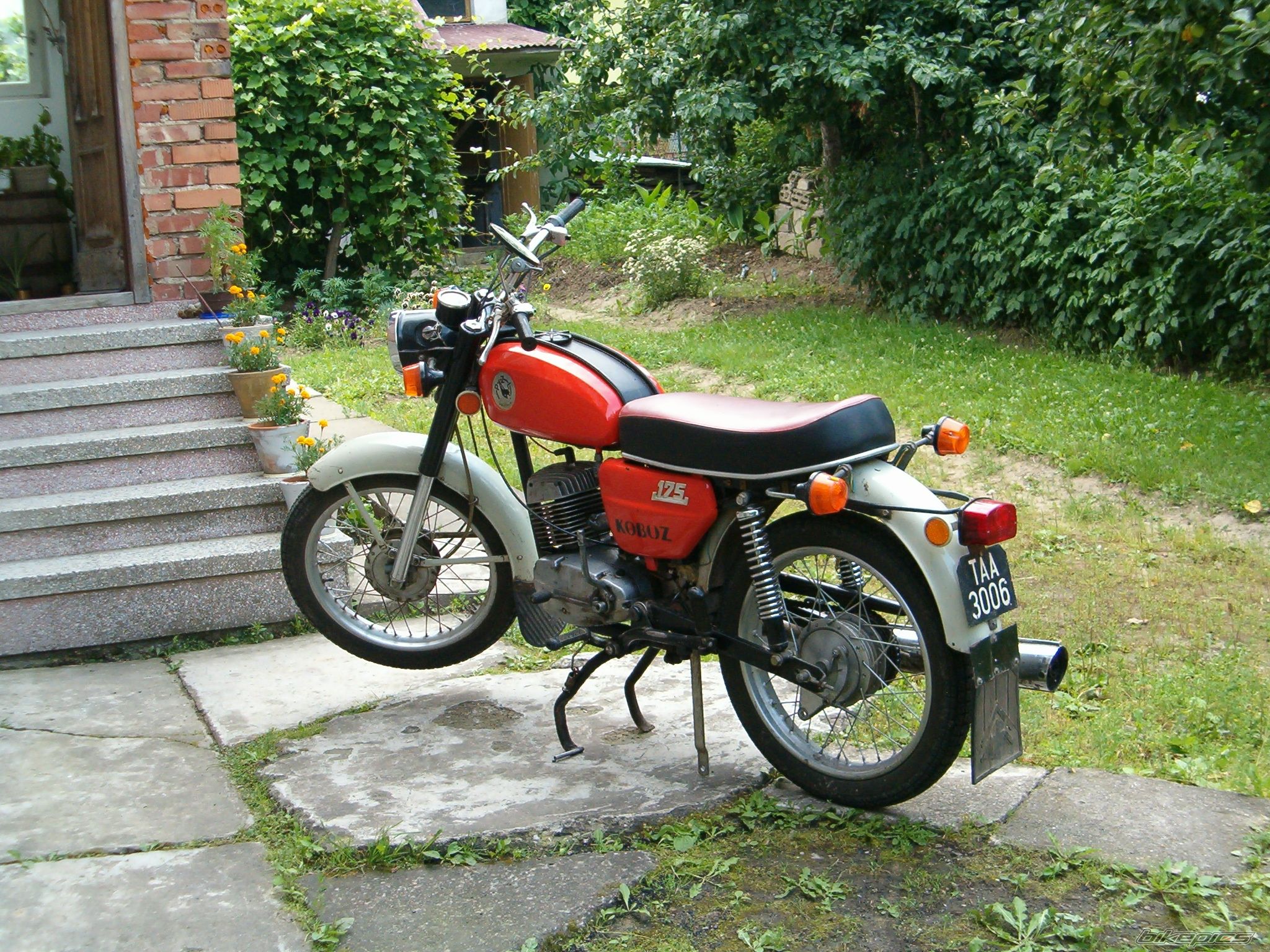 1982 WSK 175 KOBUZ | Picture 1579646 motorcycle photo