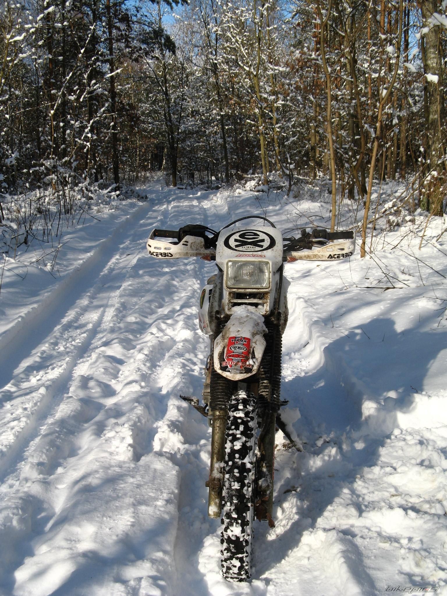 1994 HONDA XR 600 | Picture 1580492 motorcycle photo