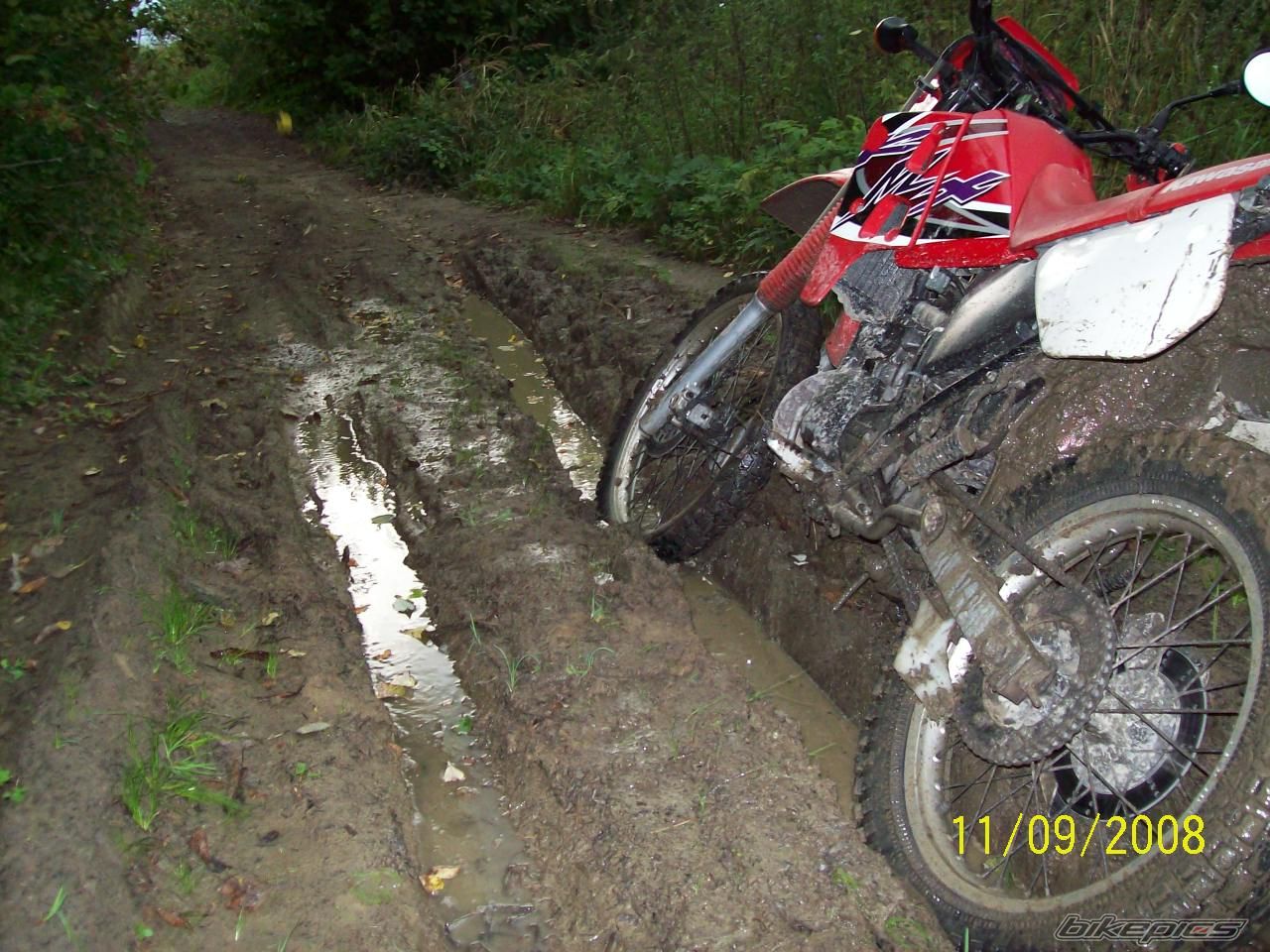 1999 KAWASAKI KMX 125 | Picture 1581064 motorcycle photo