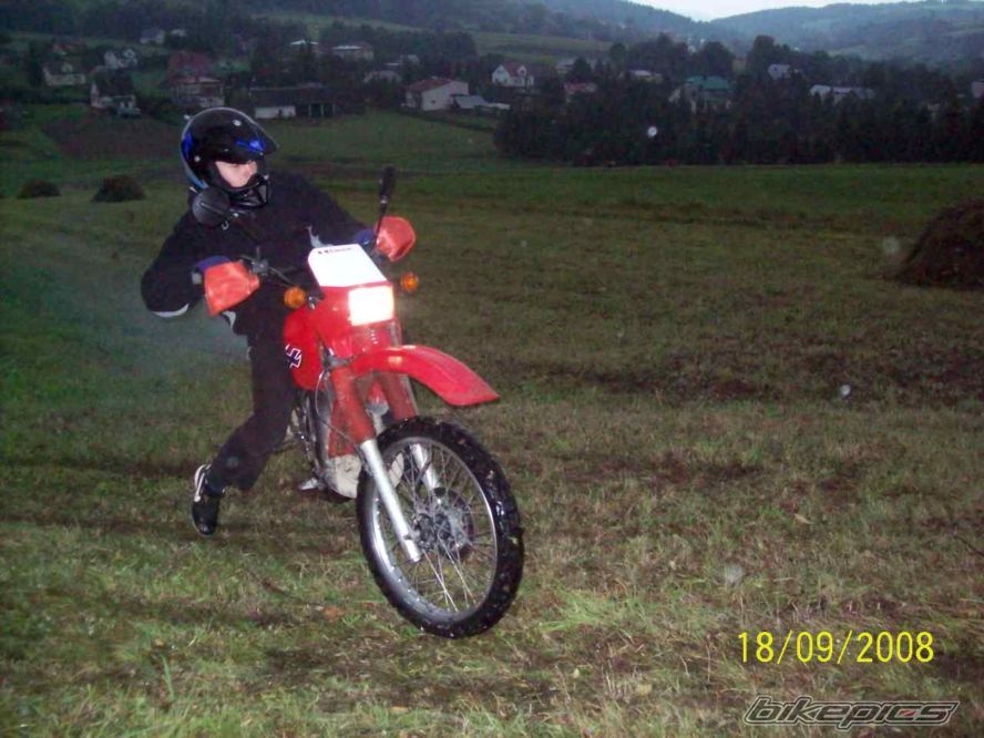 1999 KAWASAKI KMX 125 | Picture 1581068 motorcycle photo