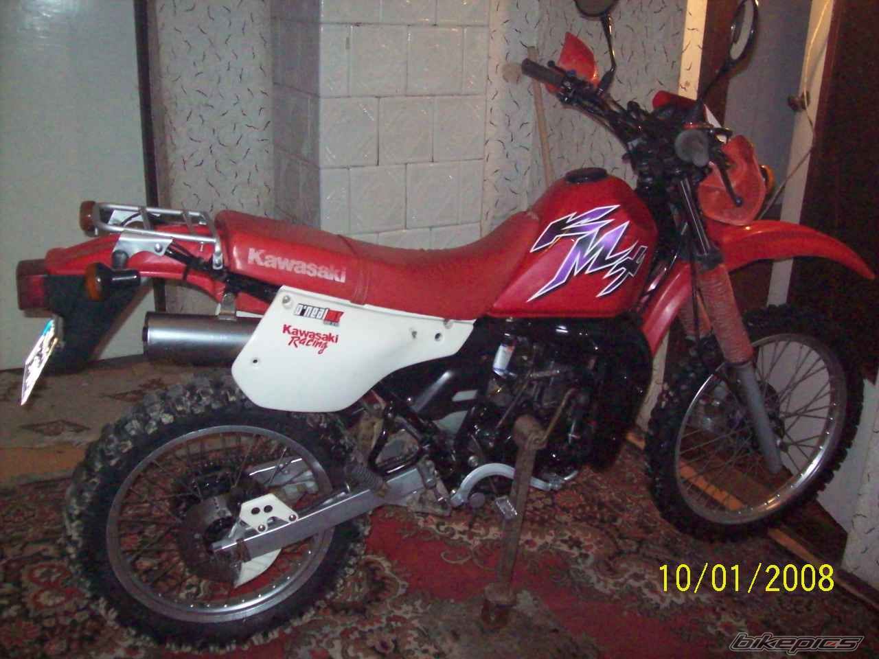 1999 KAWASAKI KMX 125 | Picture 1581156 motorcycle photo