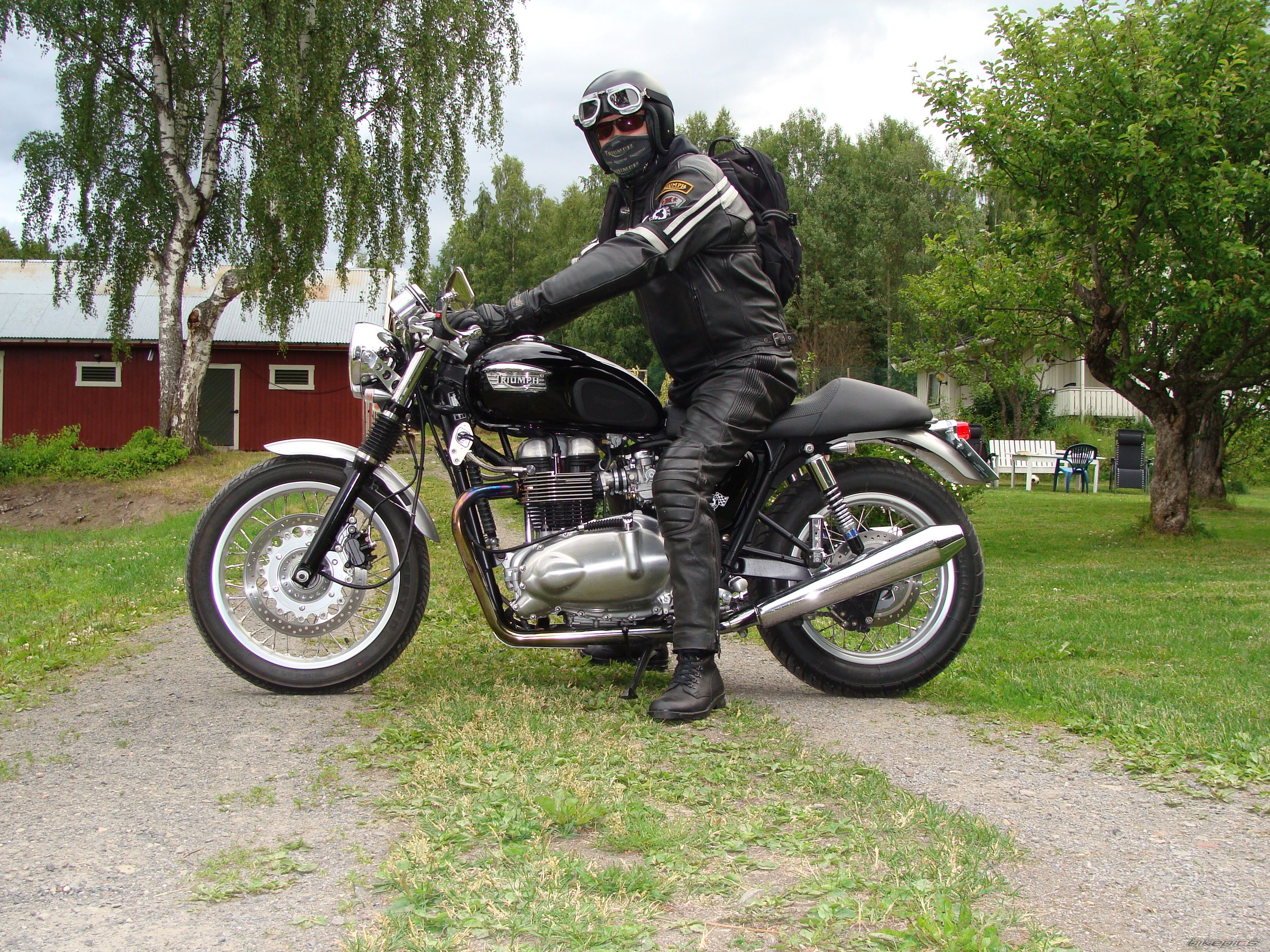 2005 TRIUMPH THRUXTON 900 | Picture 1581669 motorcycle photo