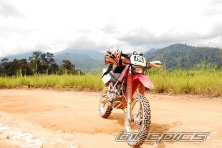 1998 HONDA XR 250 | Picture 1581811 motorcycle photo