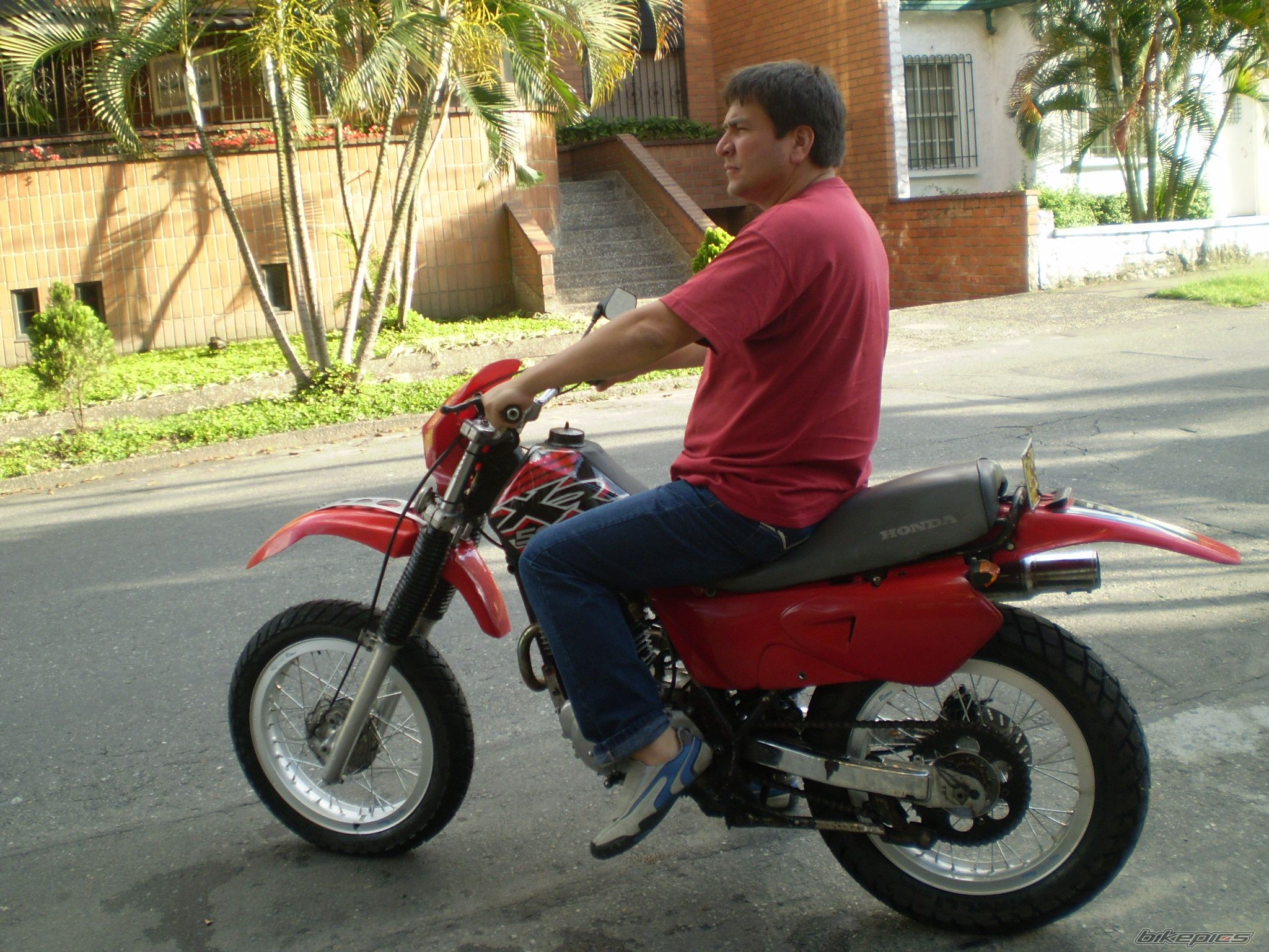    | Picture 1581982 motorcycle photo